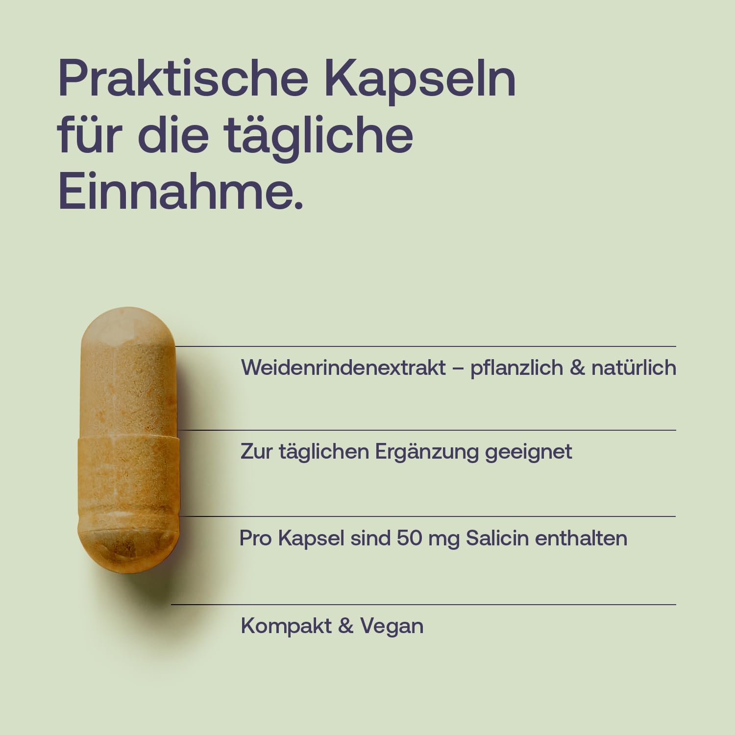 effective-nature-weidenrinde-kapseln-mit-50-mg-salicin-vegan image 3