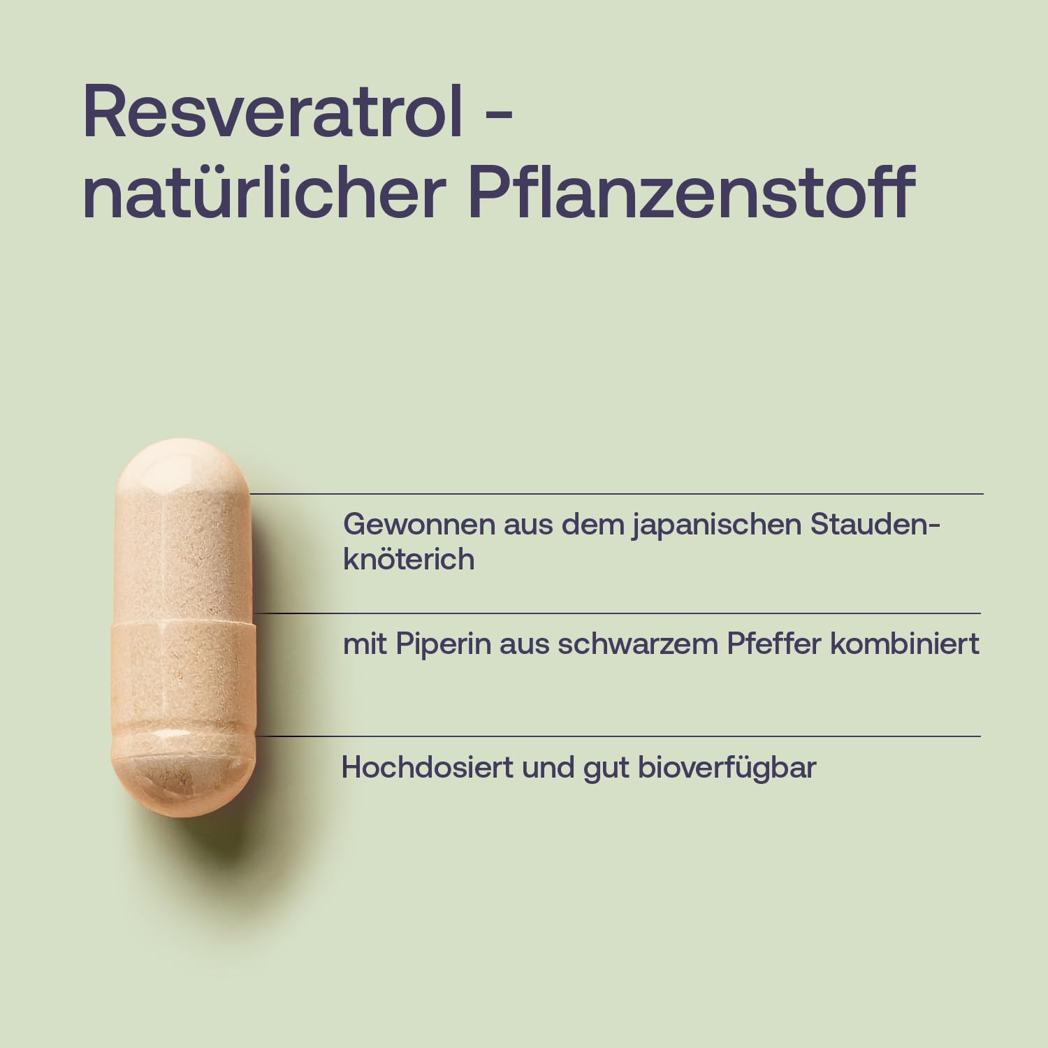 effective-nature-resveratrol-hochdosiert-500-mg-trans-resveratrol-kapseln image 3
