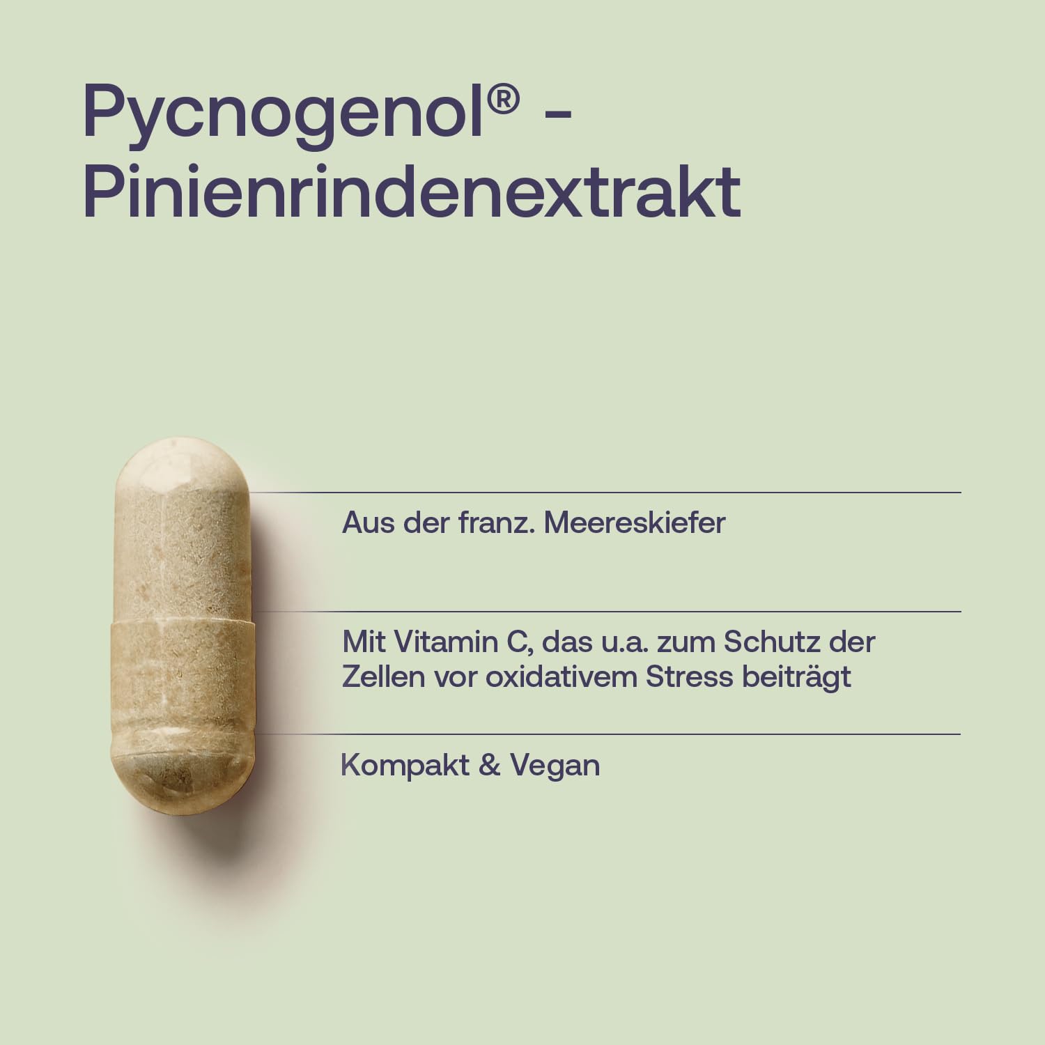 effective-nature-original-pycnogenol-pinienrindenextrakt-kapseln-50-mg-vitamin-c image 5
