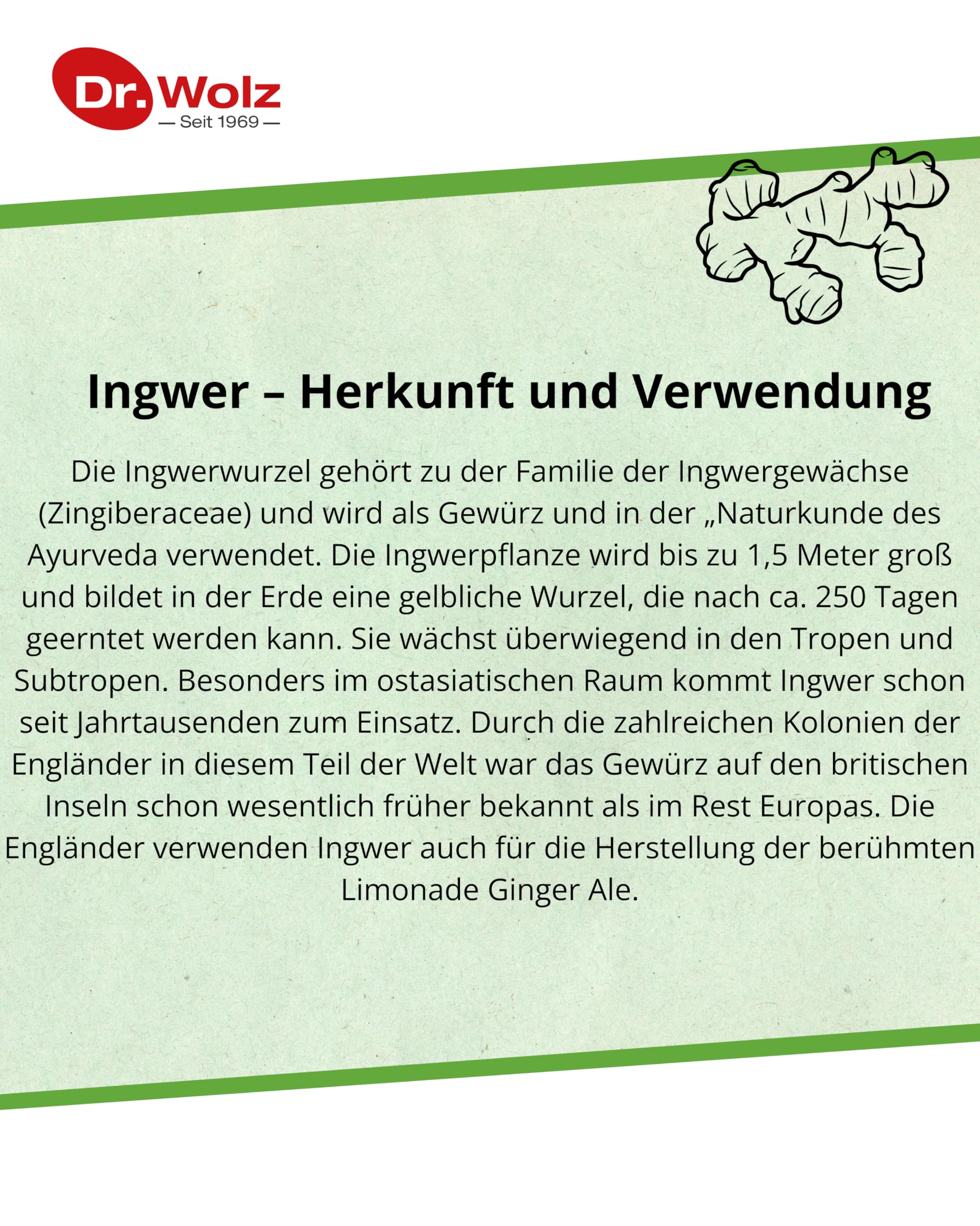 dr-wolz-ingwer-extrakt-500-mg-ingwerwurzel-mit-gingerol-120-kapseln image 4