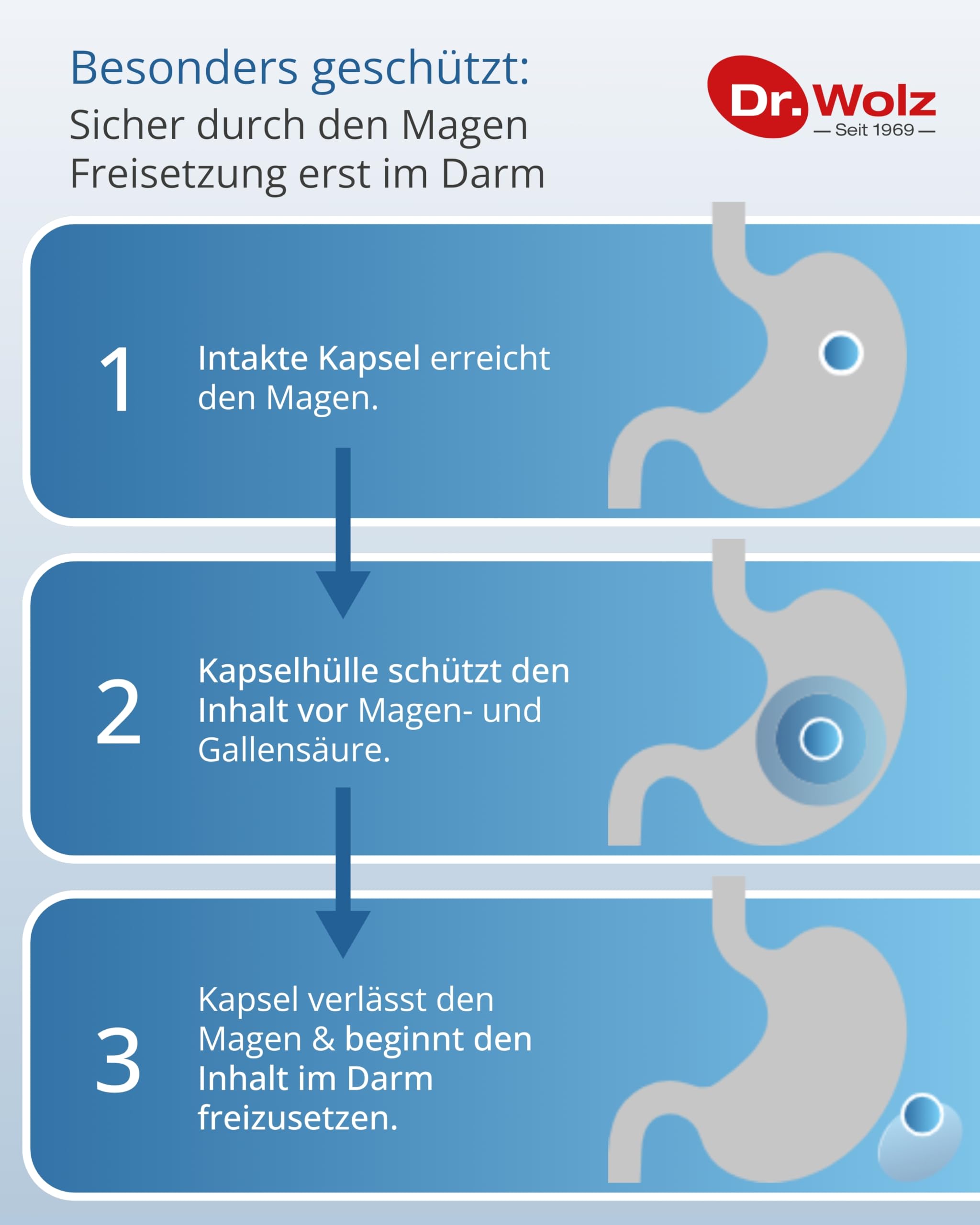 dr-wolz-darmflora-plus-select-kapseln-f-r-darm-immunsystem-40-st-kapseln image 3