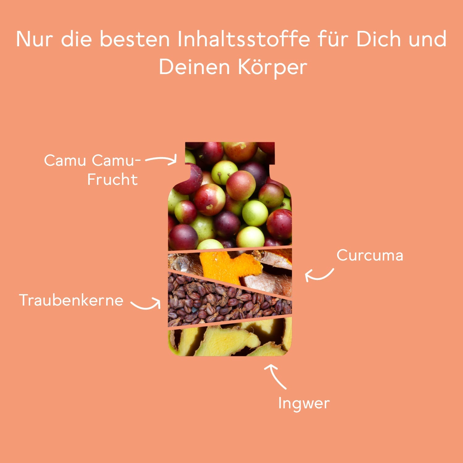 bitterliebe-bitter-immun-komplex-kapseln-mit-bitterstoffen-und-nat-rlichem-vitam image 4