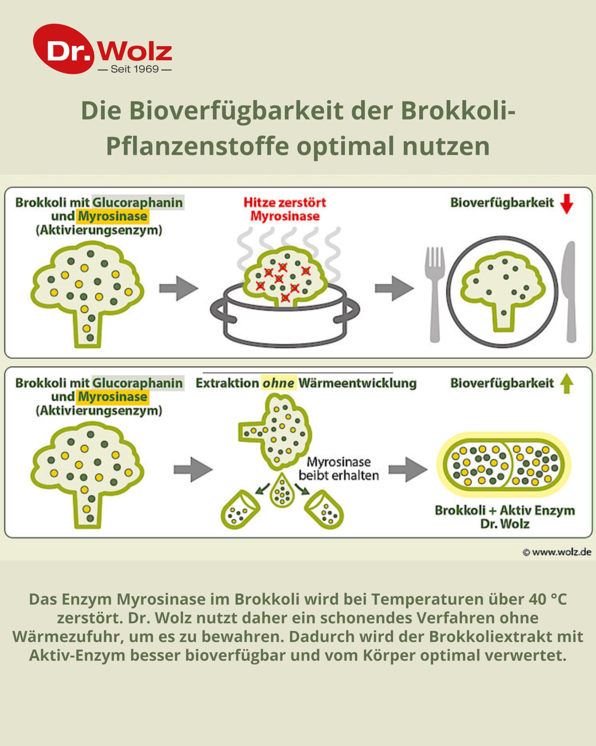 dr-wolz-brokkoliextrakt-aktiv-enzym-kapseln-60-st-kapseln image 3