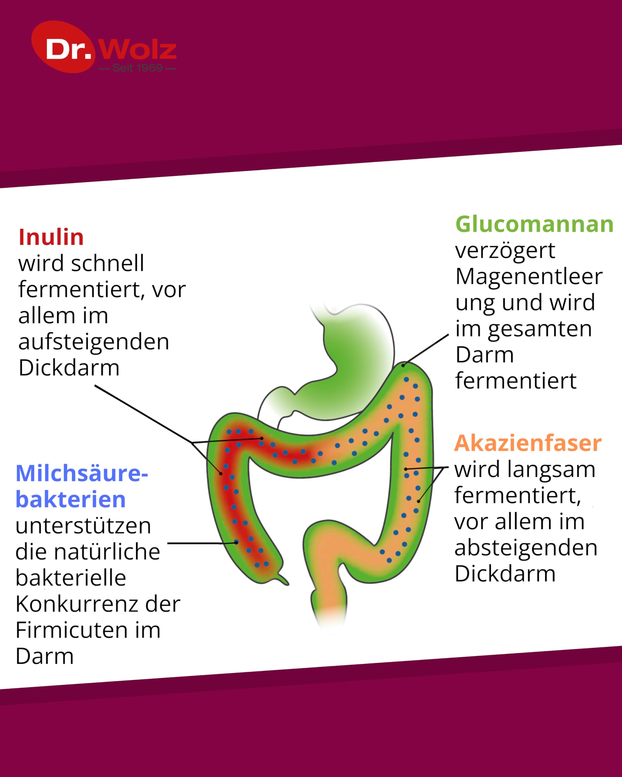 dr-wolz-probiocolon-gewichtsreduktion-pulver-315-g-mit-lebenden-bakterienkulture image 3