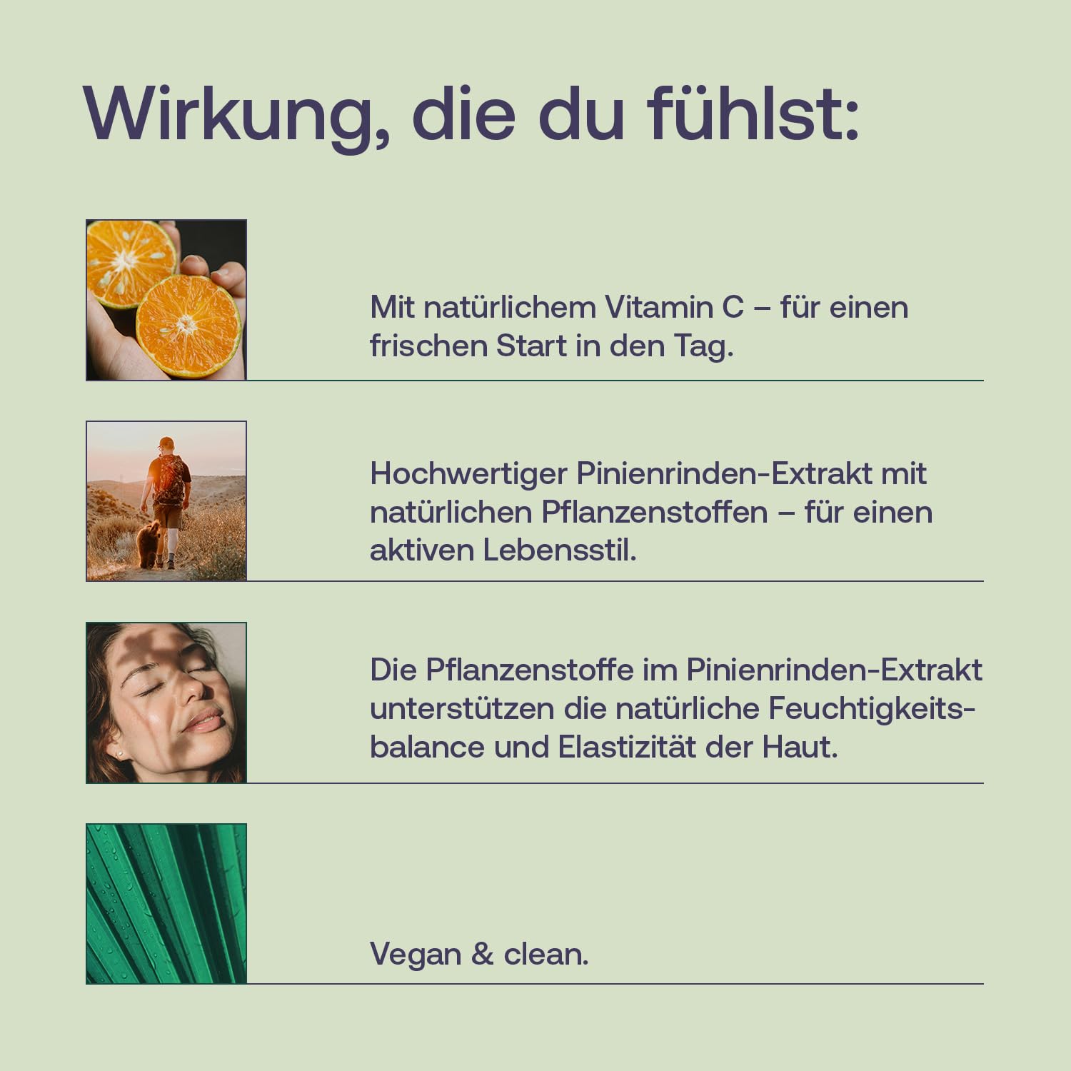 effective-nature-original-pycnogenol-pinienrindenextrakt-kapseln-50-mg-vitamin-c image 3
