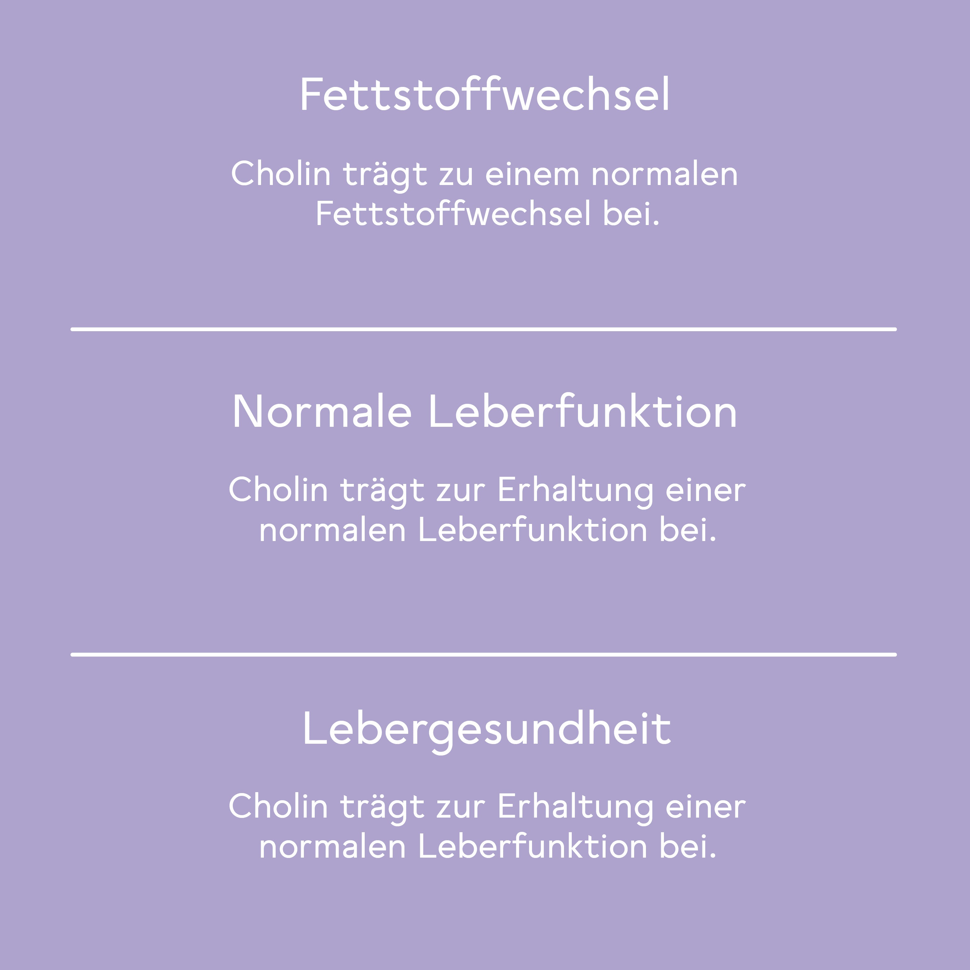 bitterliebe-bitter-leber-komplex-spray-3-monats-set-150ml image 4
