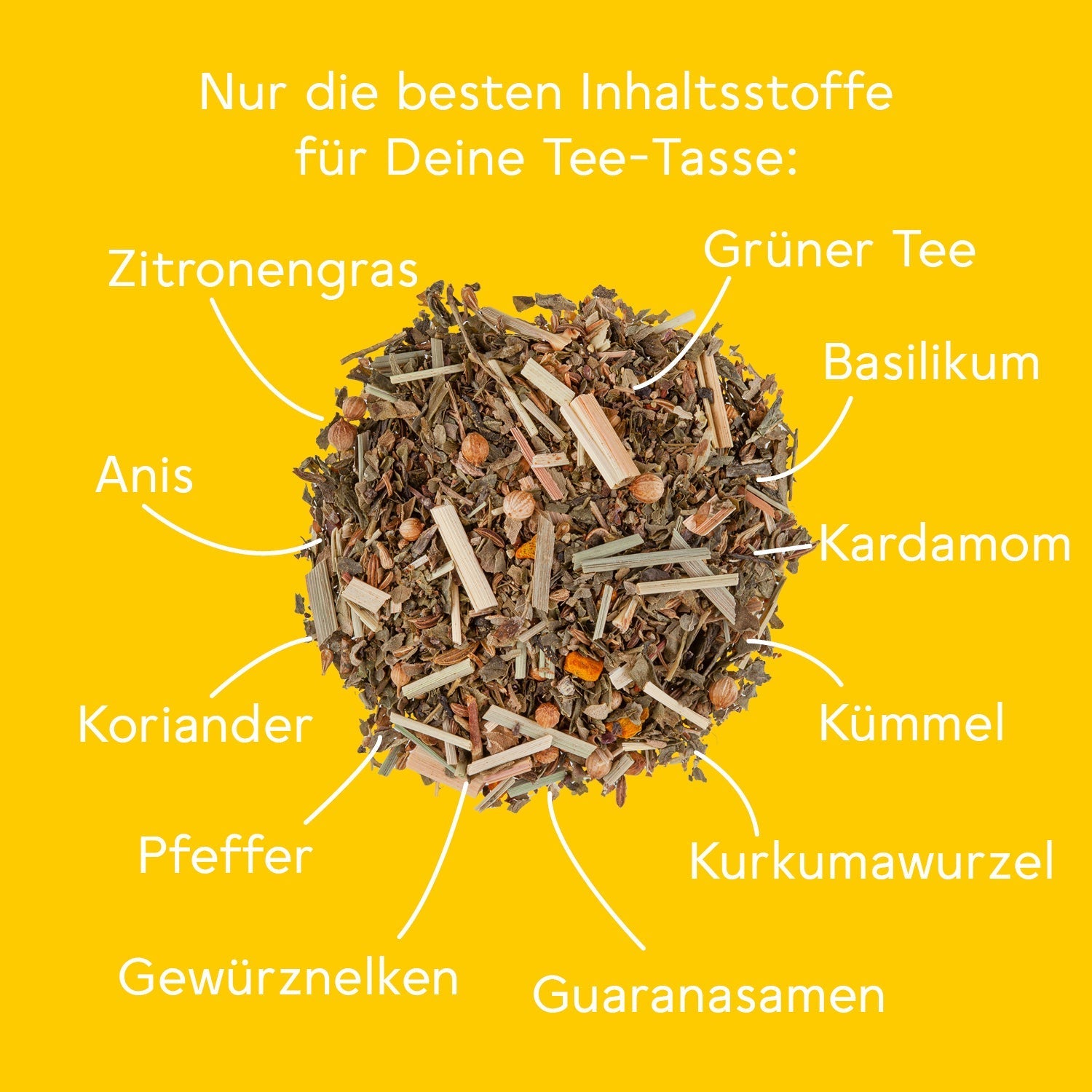 bitterliebe-bio-spicy-ayurveda-set-kr-utertee-mit-zitronengras-und-gew-rzen image 5