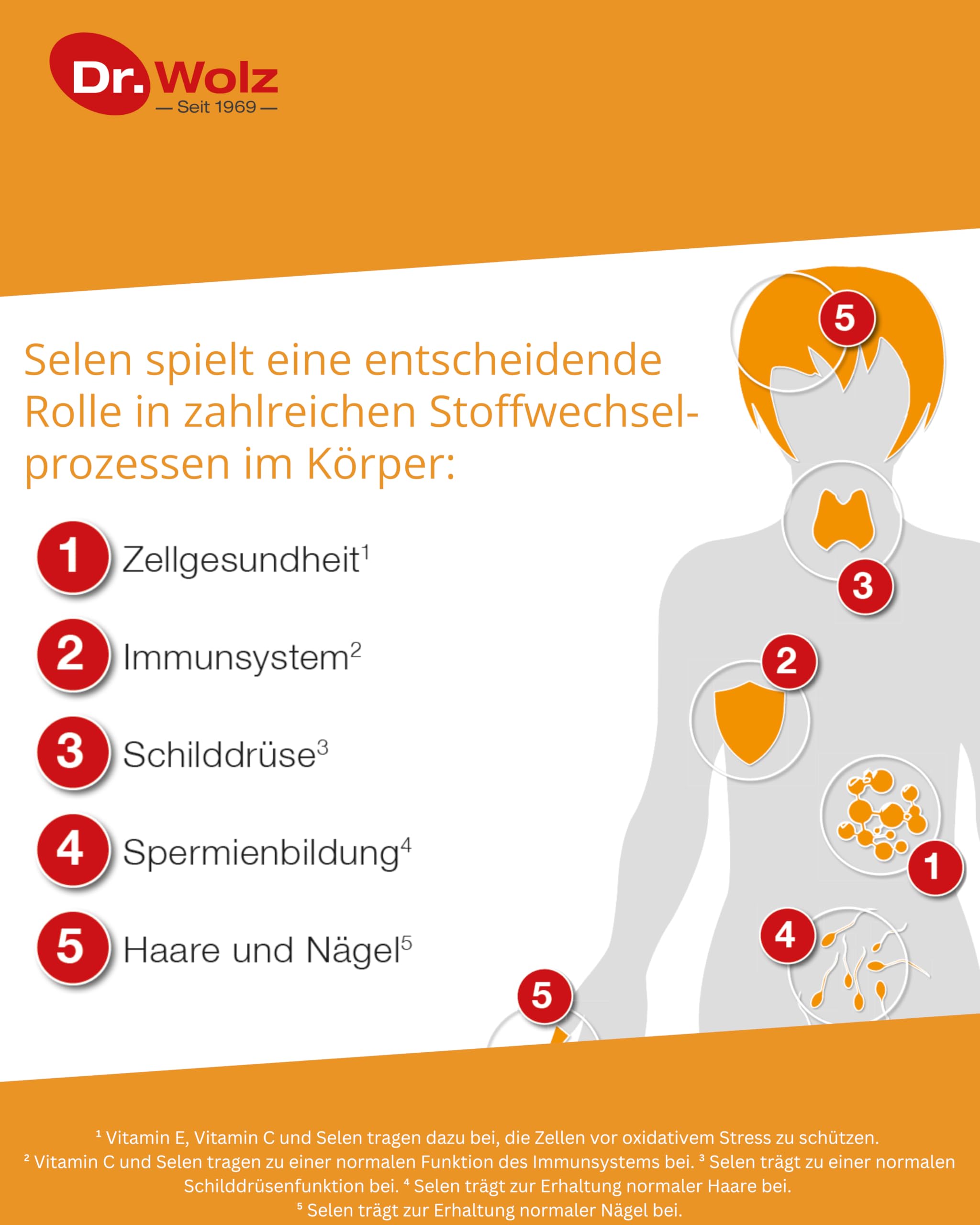 dr-wolz-selen-ace-100-g-vitamin-c-e-kapseln-60-kapseln image 3