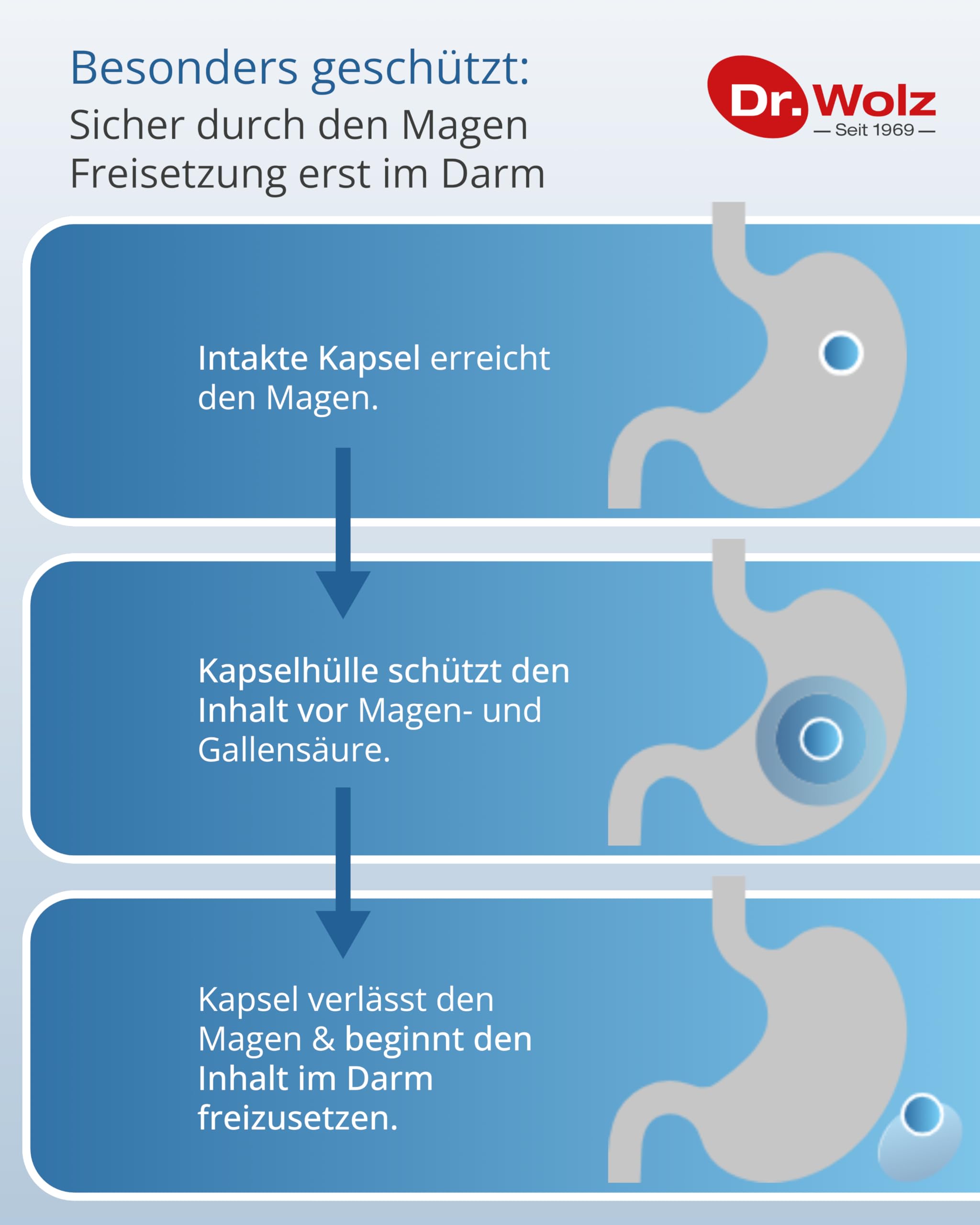 dr-wolz-darmflora-plus-uro-kapseln-40-st-ck-blase-schleimhaut image 3