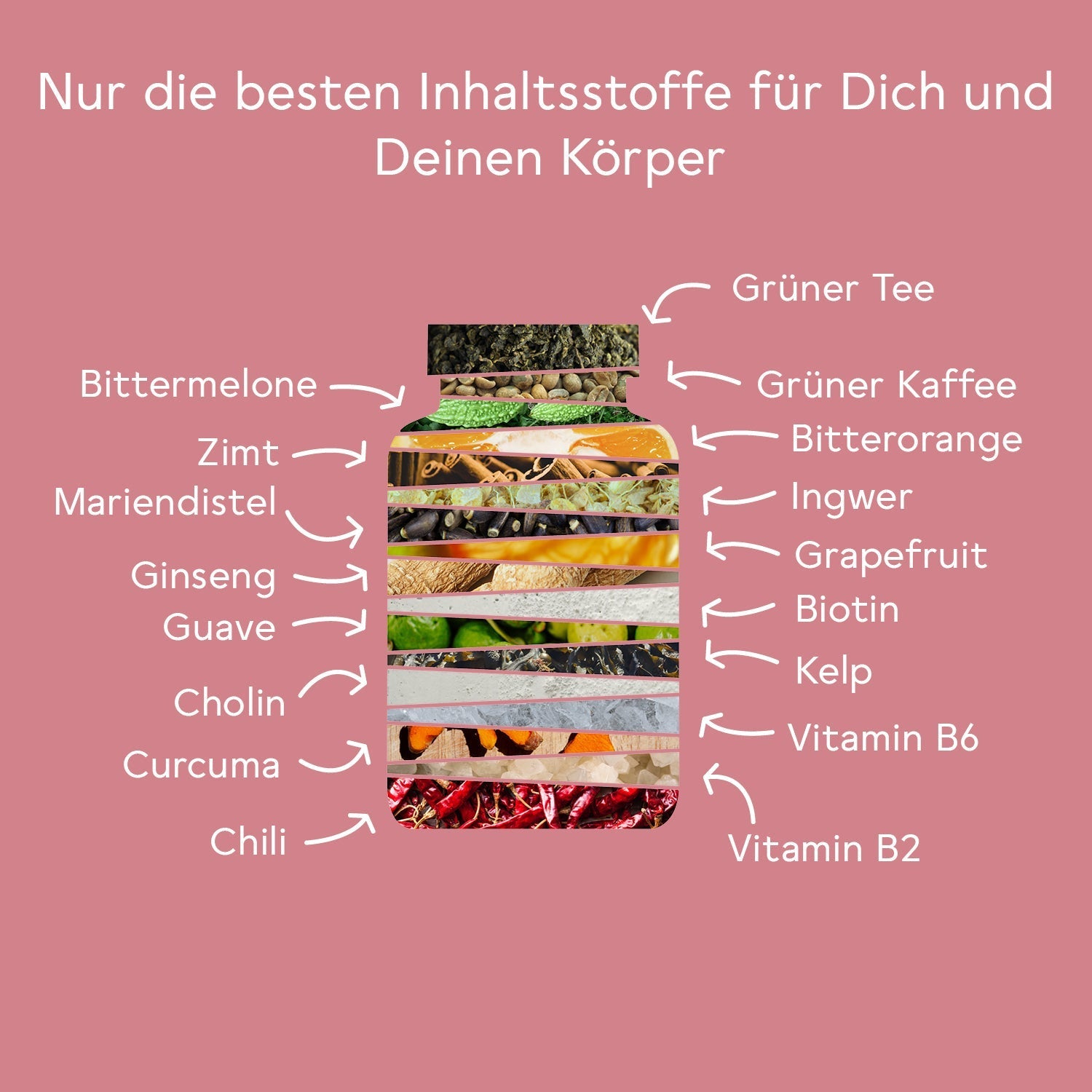 bitterliebe-bitter-stoffwechsel-komplex-kapseln-mit-cholin-zink image 5