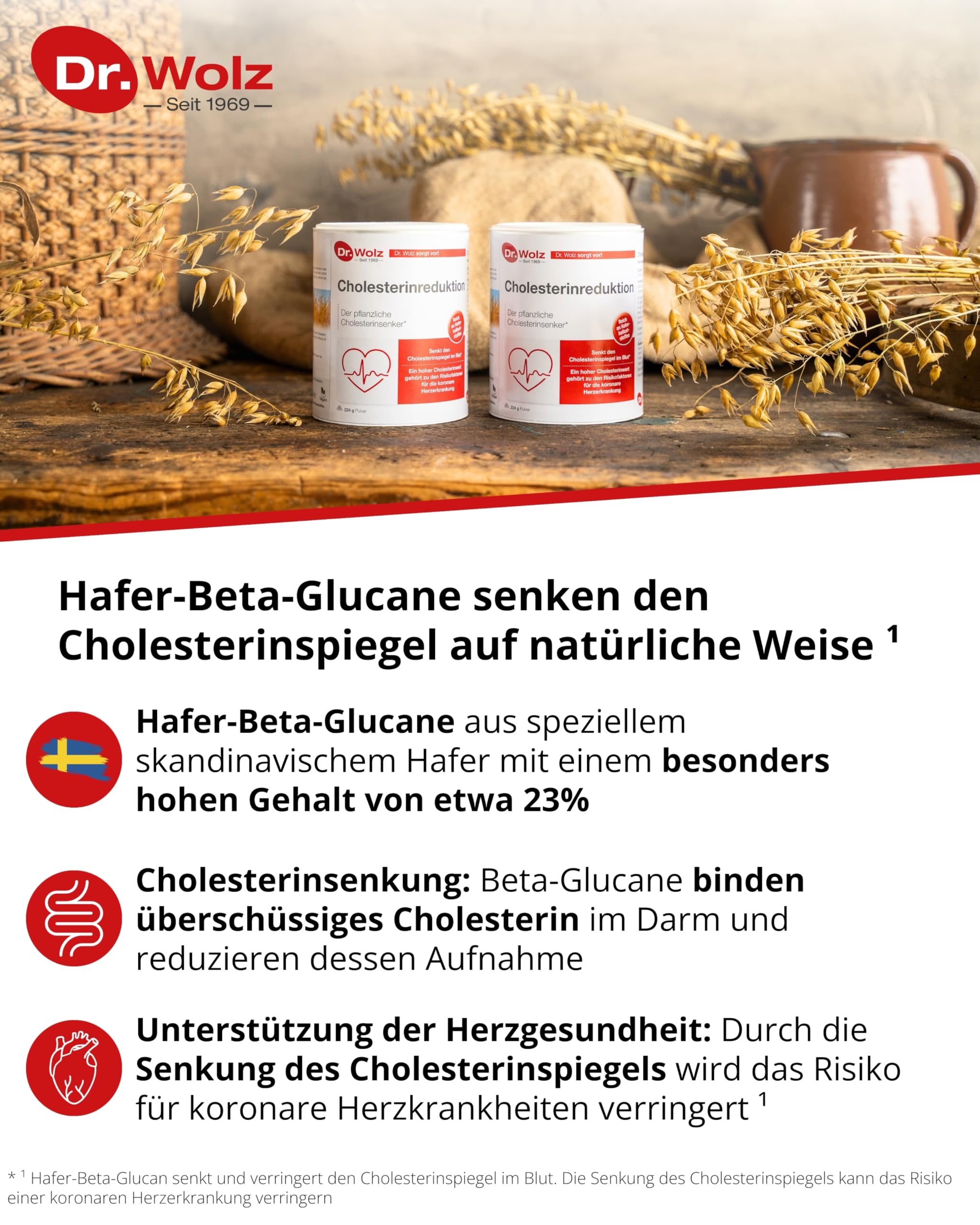 dr-wolz-cholesterinreduktion-pulver-224-g-pulver image 5