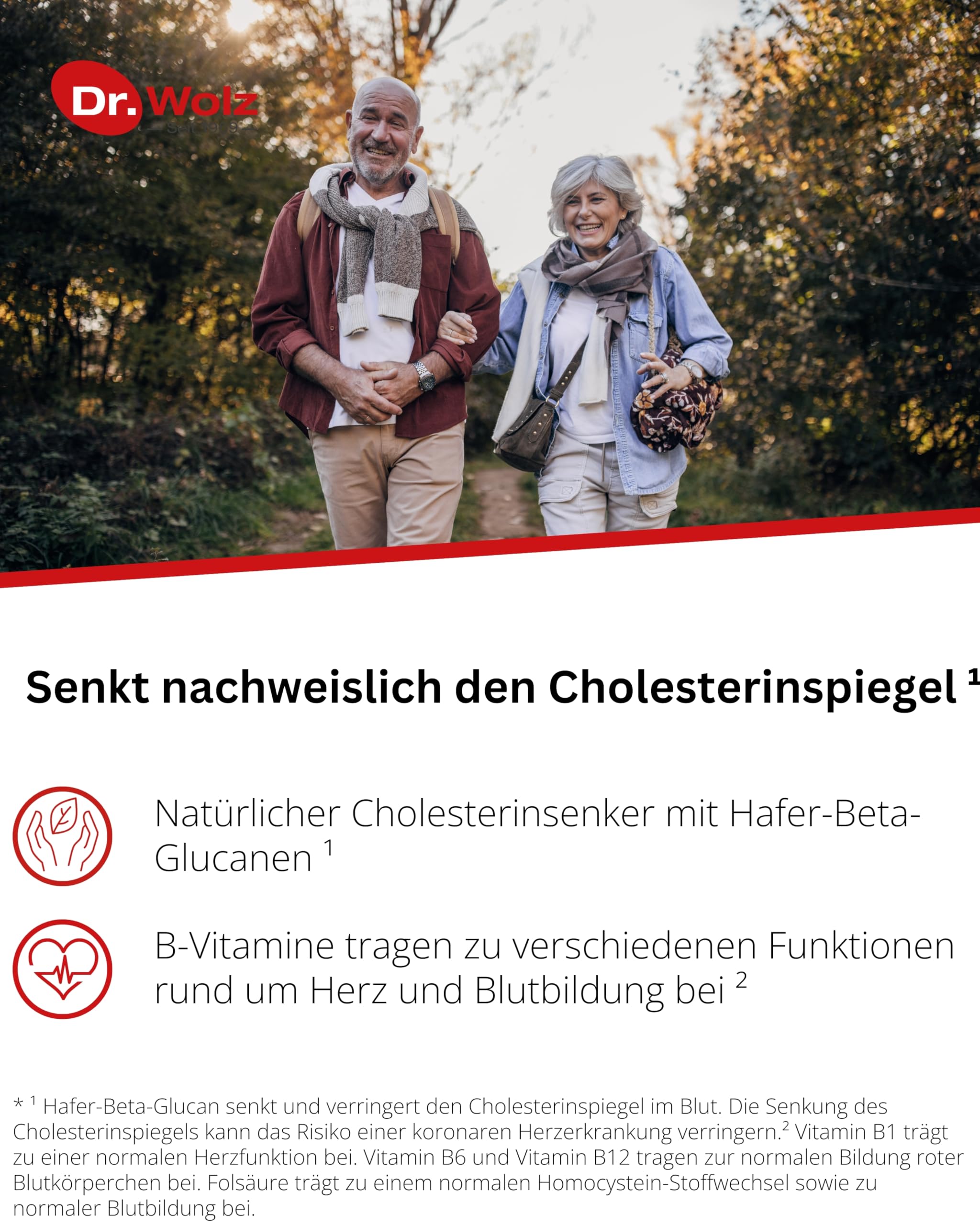 dr-wolz-cholesterinreduktion-pulver-224-g-pulver image 2