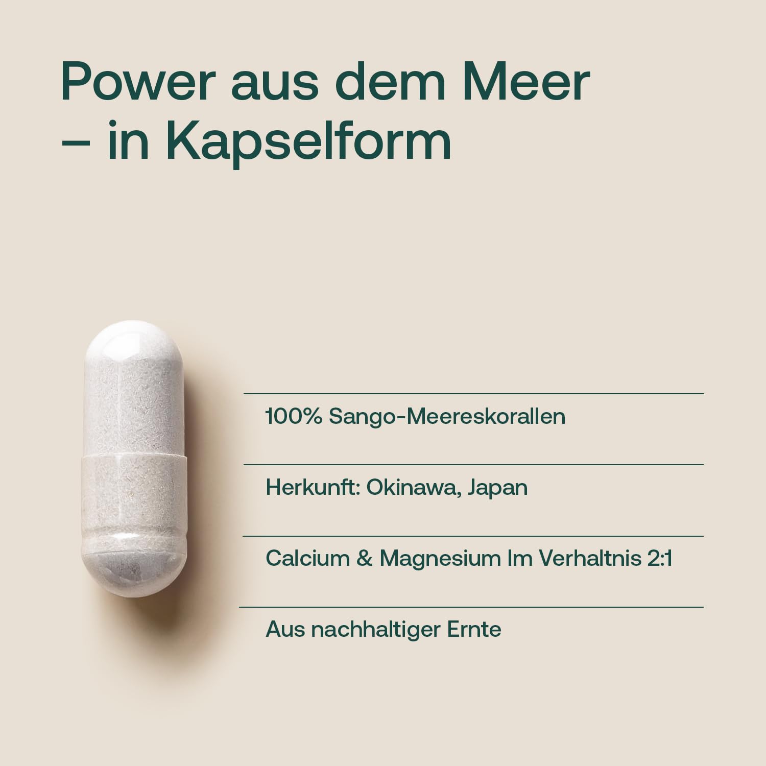 effective-nature-sango-meereskoralle-kapseln-calcium-magnesium-2-1 image 4