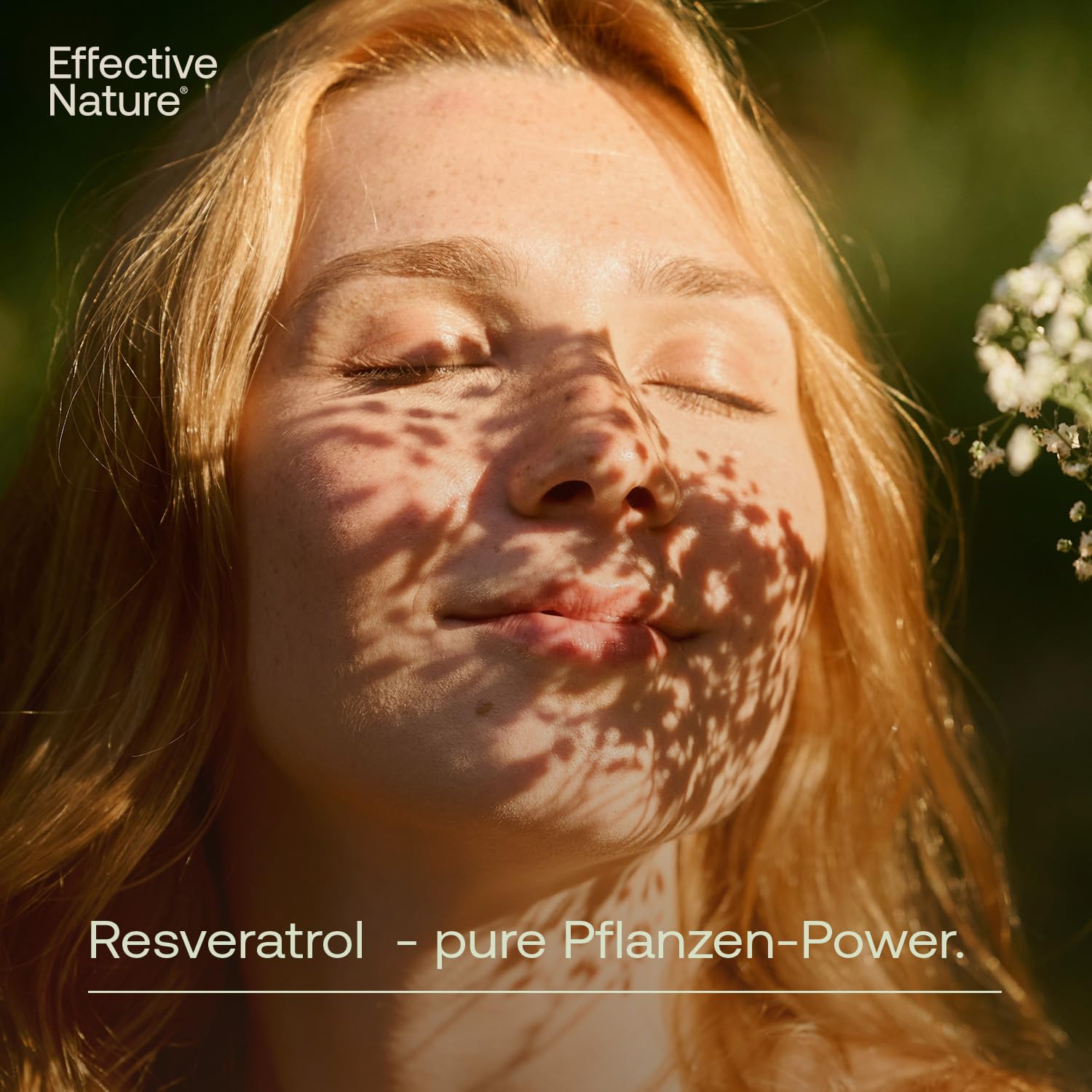 effective-nature-resveratrol-hochdosiert-500-mg-trans-resveratrol-kapseln image 5