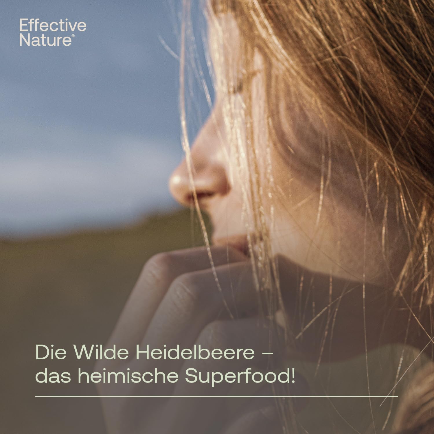 effective-nature-wilde-heidelbeeren-bio-pulver-antioxidantien-superfood image 3