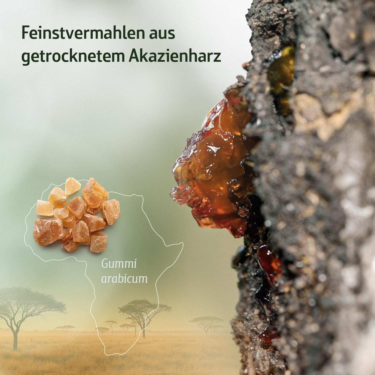 effective-nature-akazienfaser-pulver-bio-500-g-80-ballaststoffe image 7