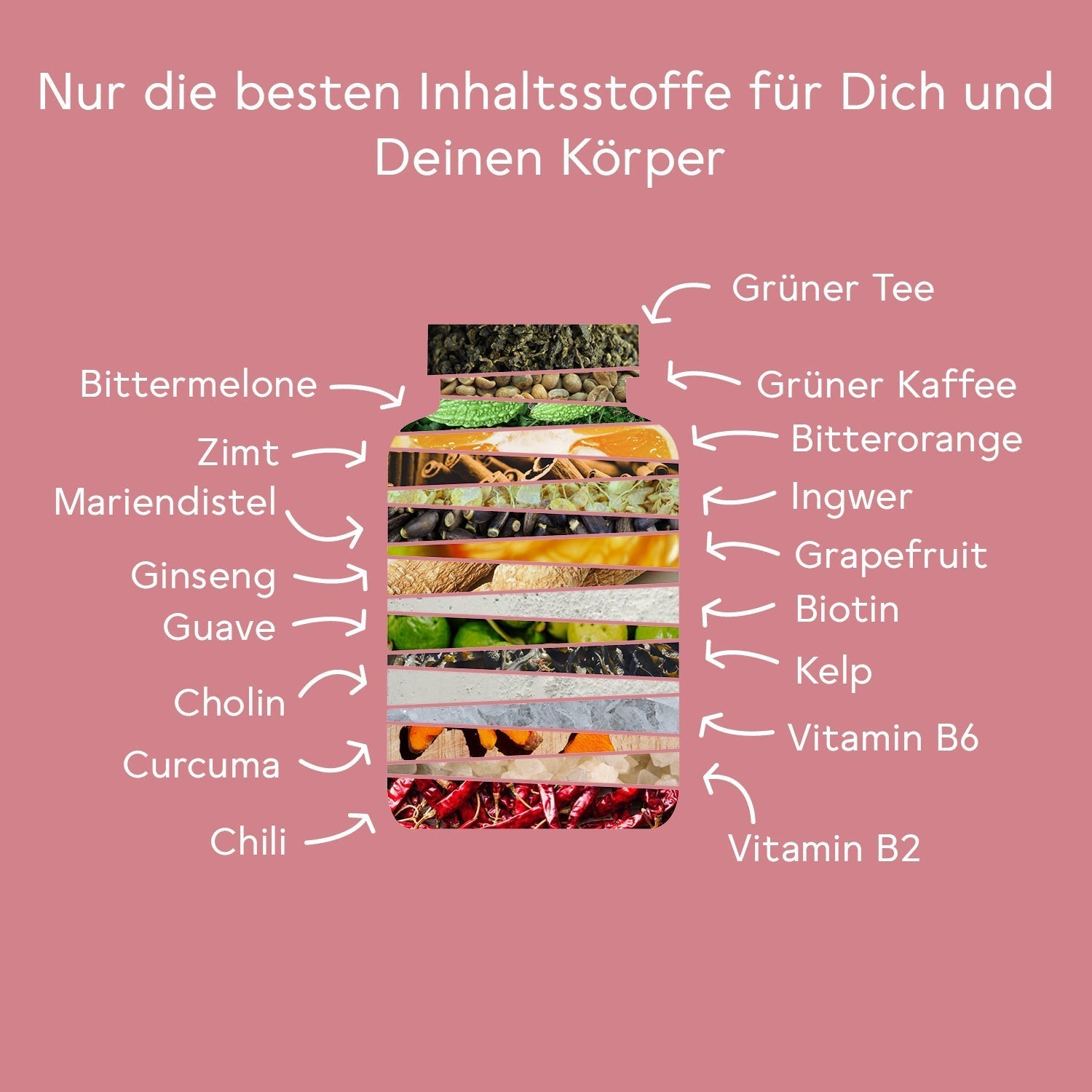 bitterliebe-bitter-stoffwechsel-komplex-450-kapseln-5-monats-set image 4
