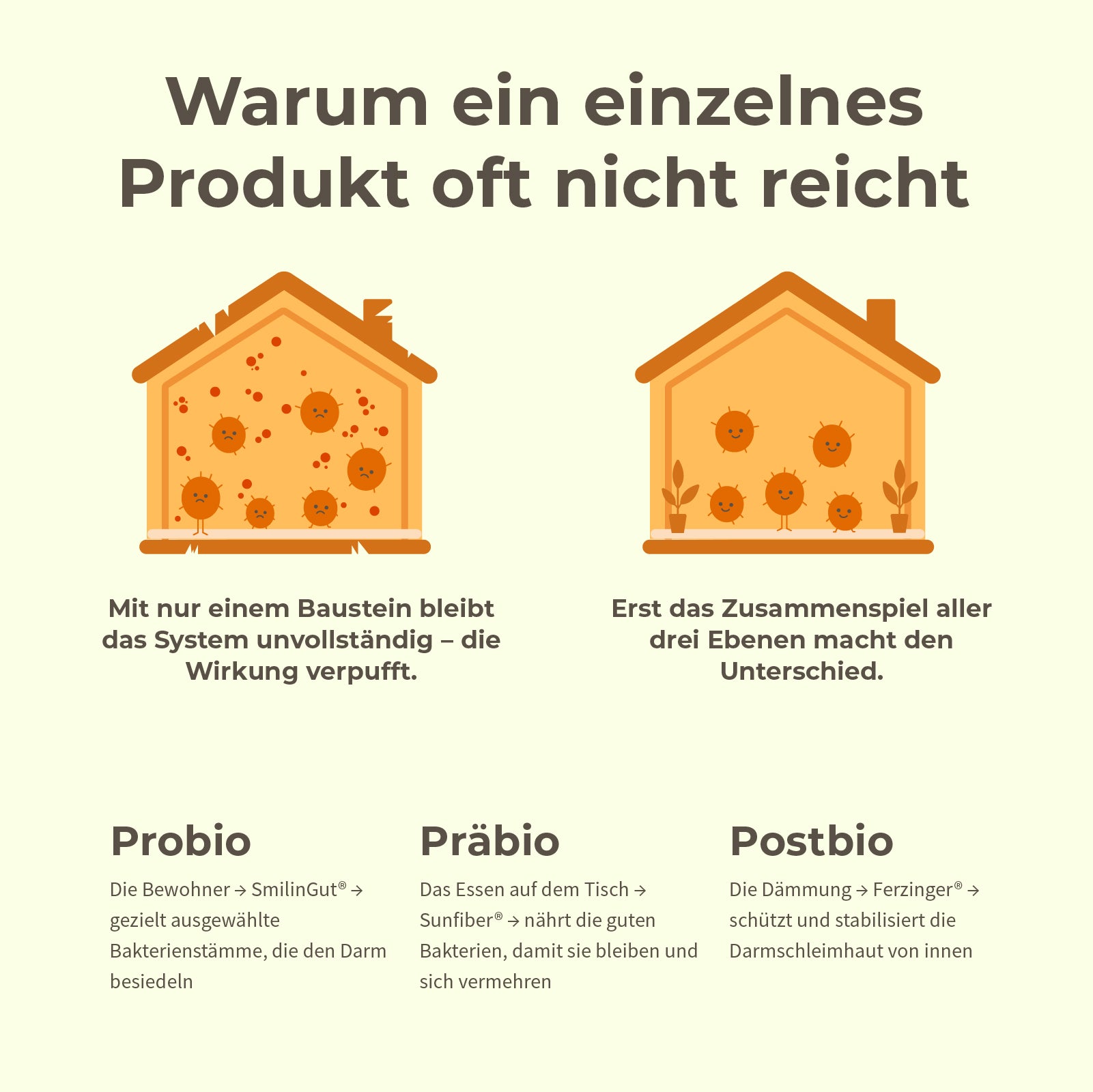 bitterliebe-3-in-1-darm-komplex-kapseln-f-r-darmgesundheit image 8