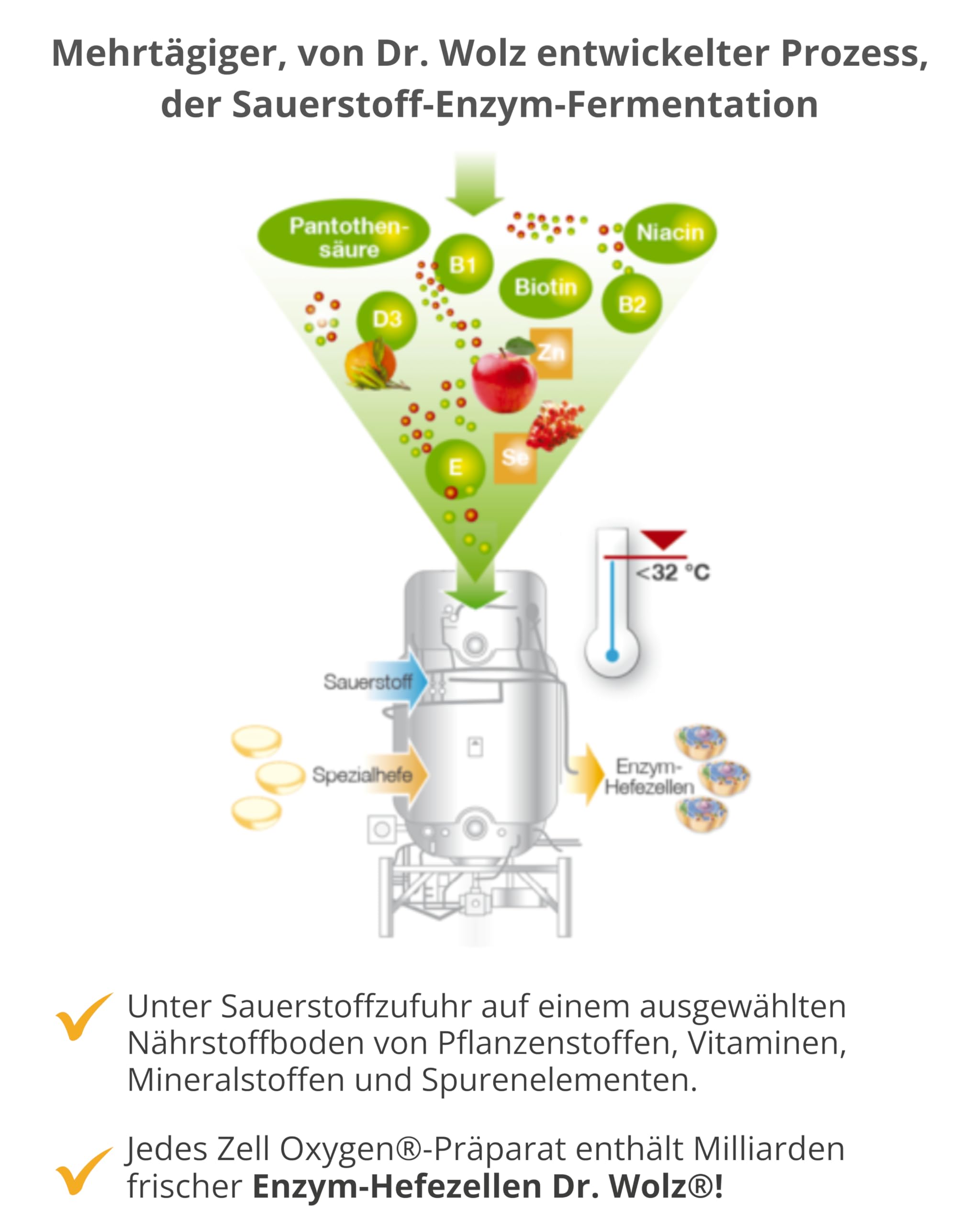 dr-wolz-zell-oxygen-plus-konzentrat-bioaktives-fermentationsprodukt-250-ml-l-sun image 4
