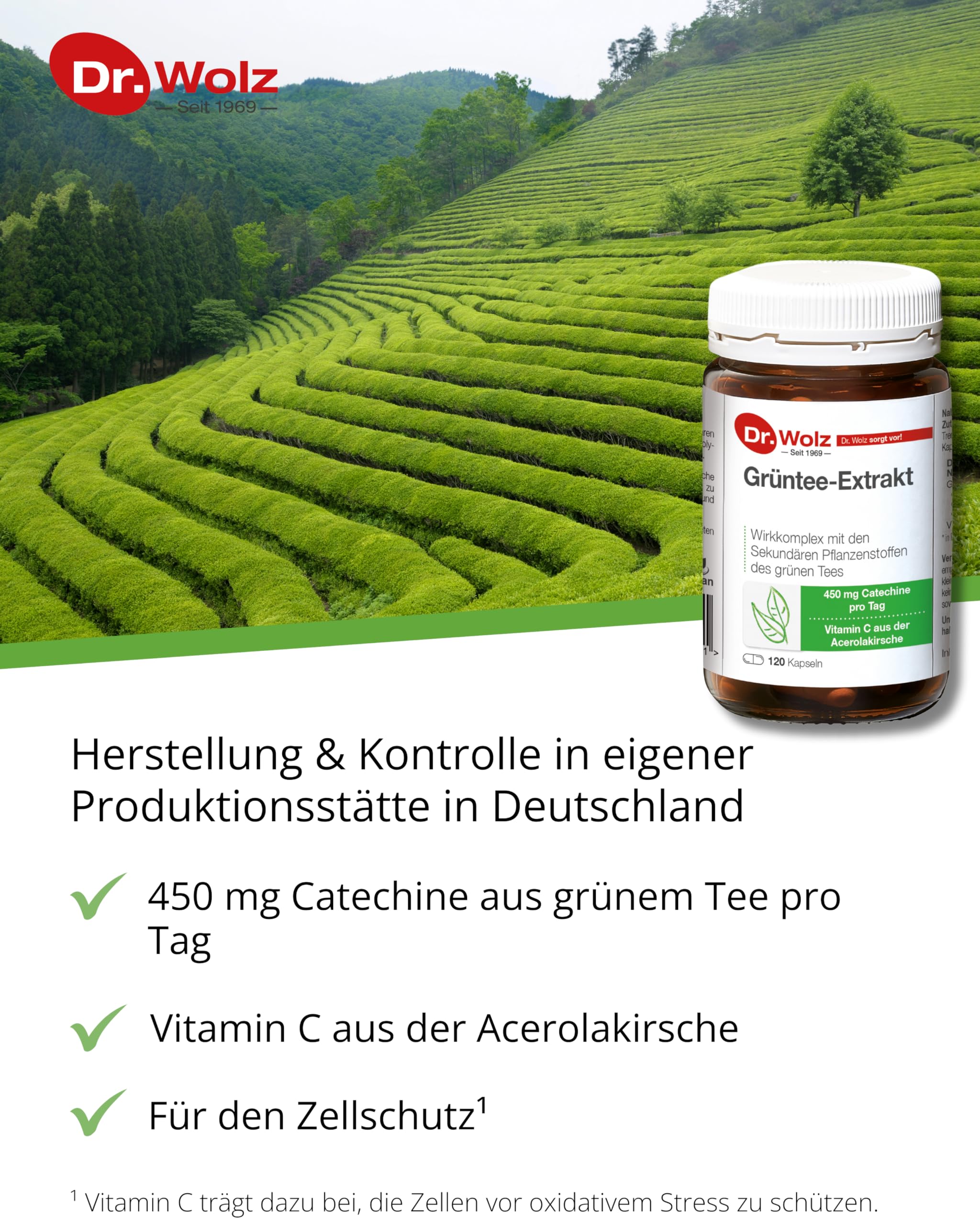dr-wolz-gr-ntee-extrakt-kapseln-mit-vitamin-c-aus-acerola-120-kapseln image 2
