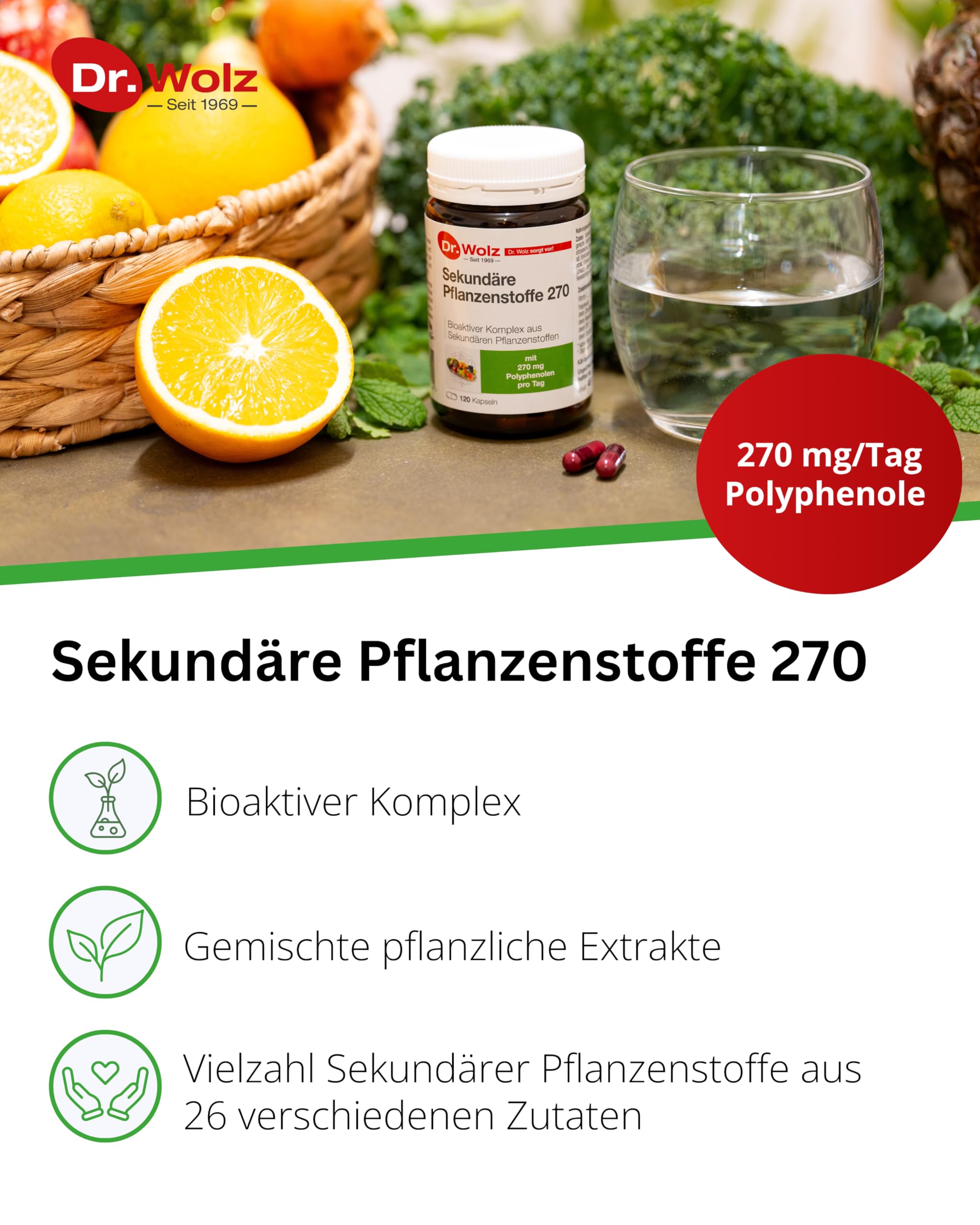 dr-wolz-sekund-re-pflanzenstoffe-270-polyphenol-kapseln-120-kapseln image 2