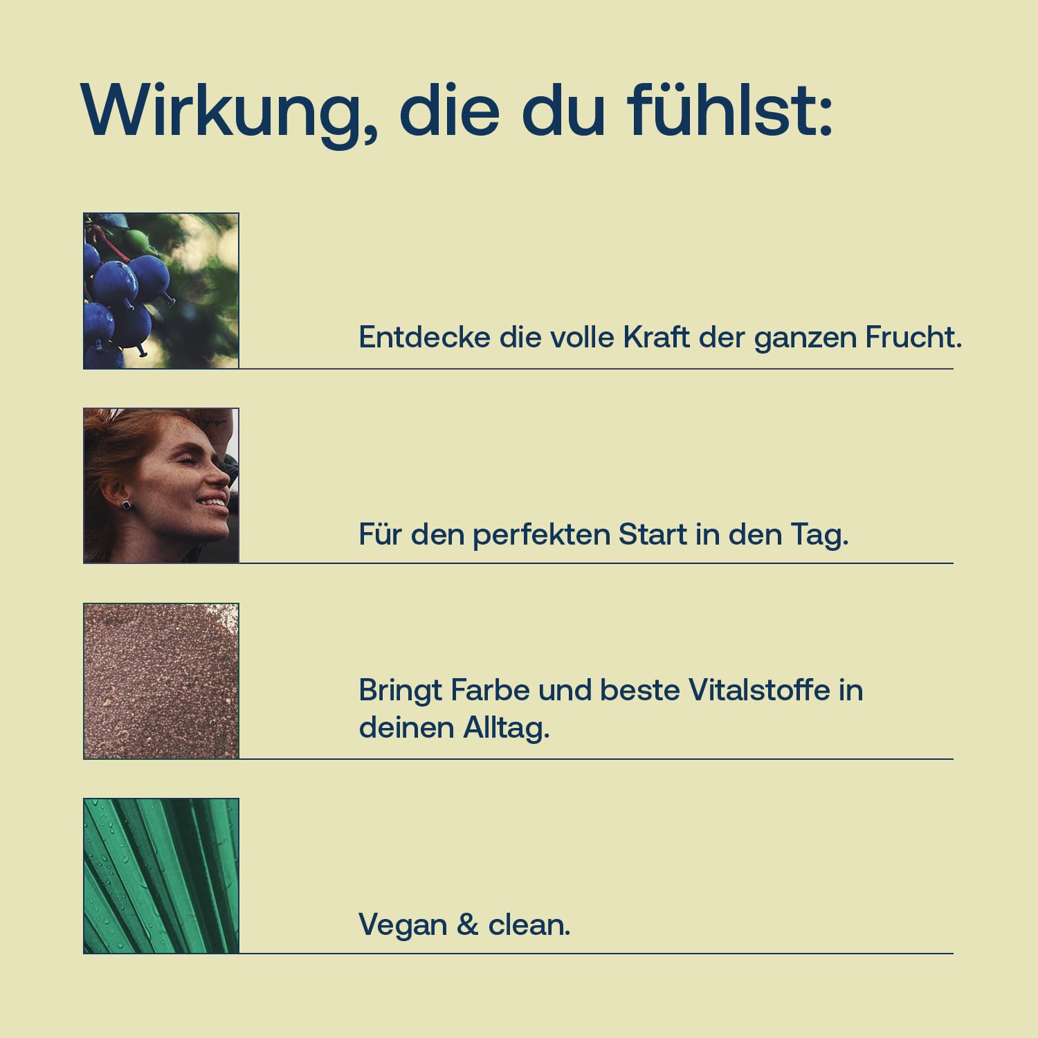 effective-nature-wilde-heidelbeeren-bio-pulver-antioxidantien-superfood image 2