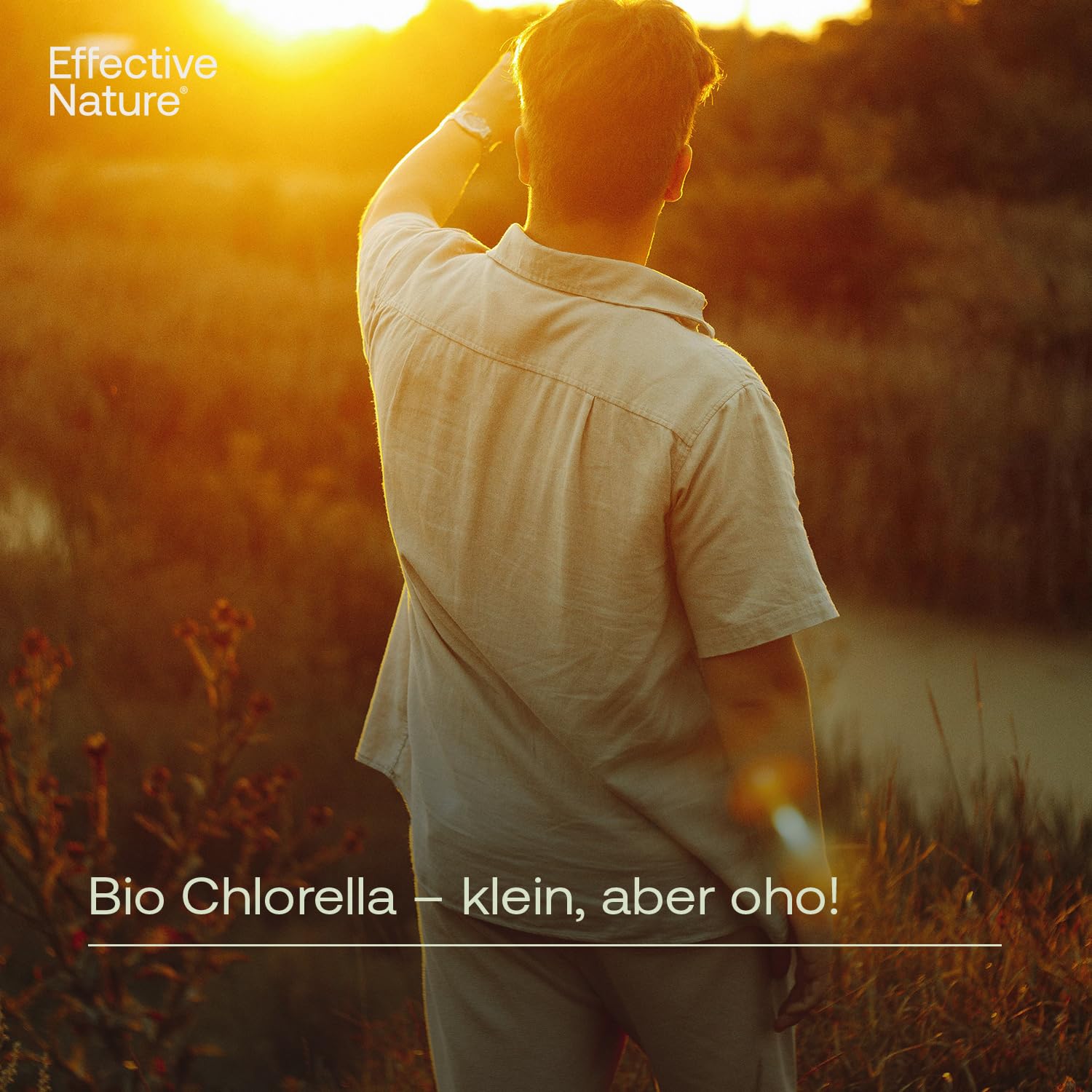 effective-nature-chlorella-bio-presslinge-vegan-5000-mg-hochdosiert image 5