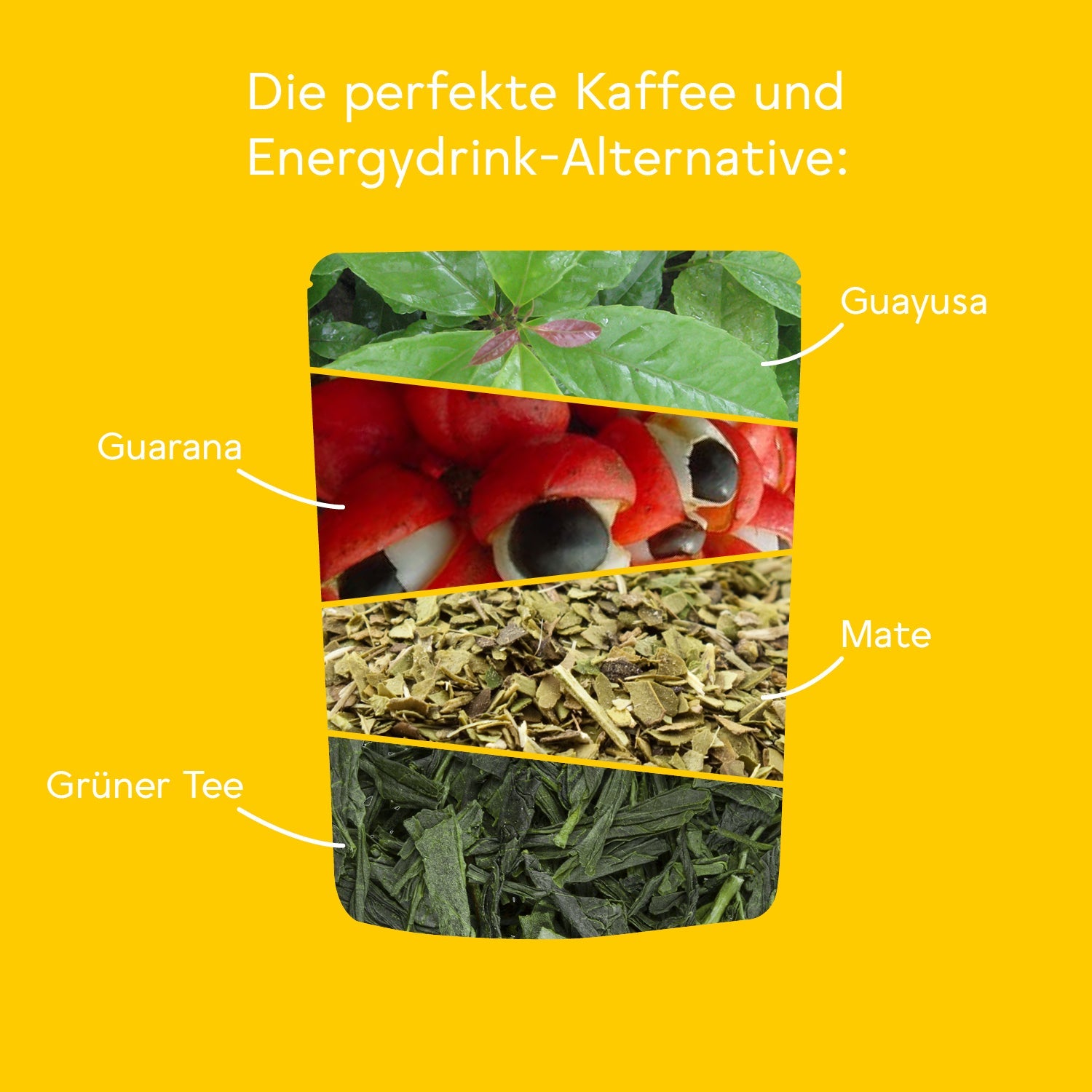 bitterliebe-energy-tee-bio-kr-utertee-180g-guayusa-mate-guarana image 2