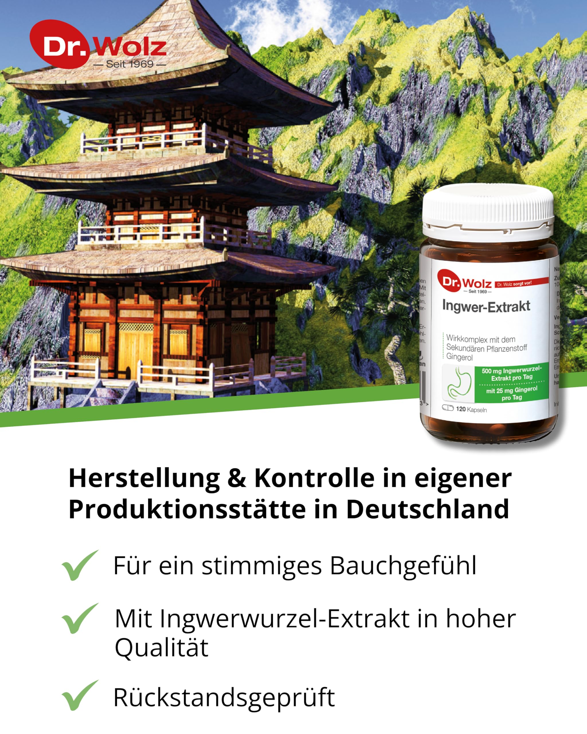 dr-wolz-ingwer-extrakt-500-mg-ingwerwurzel-mit-gingerol-120-kapseln image 2