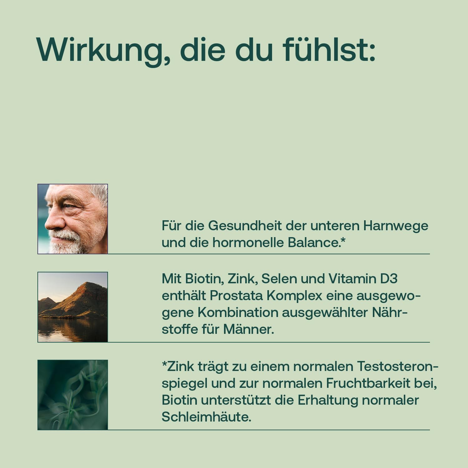 effective-nature-prostata-komplex-kapseln-mit-s-gepalmenextrakt-hochdosiert image 3