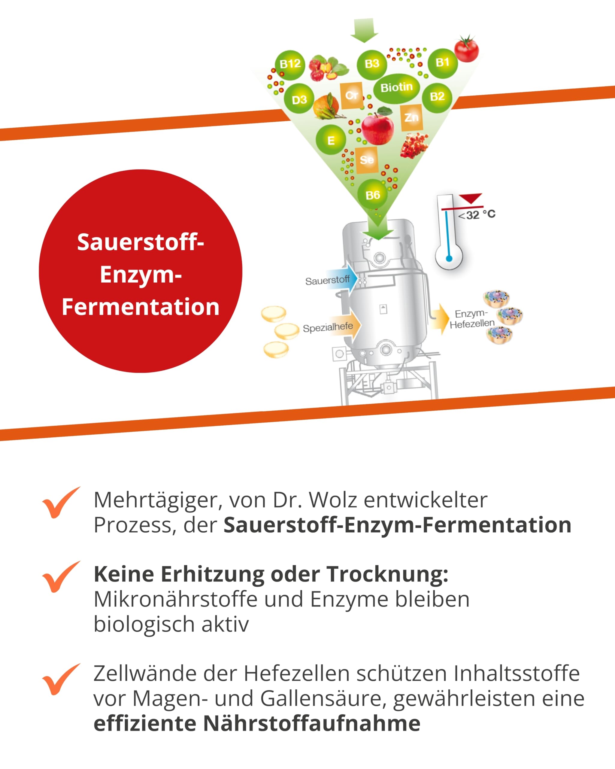 dr-wolz-zell-oxygen-immunkomplex-konzentrat-250-ml-l-sung image 5