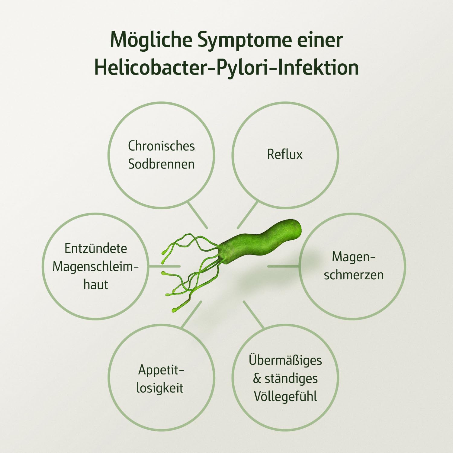 effective-nature-combi-flora-antipylori-mit-pylopass-400-mg-kapseln image 3