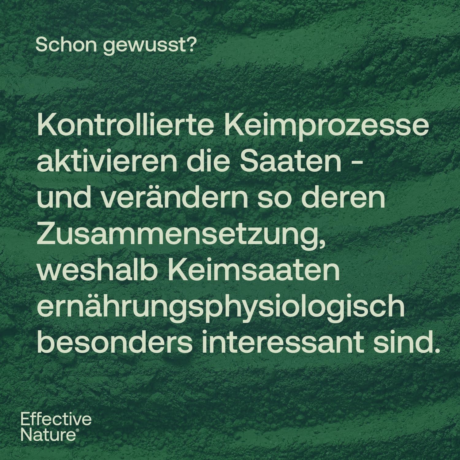 effective-nature-basisches-porridge-aus-6-aktivierten-bio-keimsaaten-fr-hst-cks- image 5