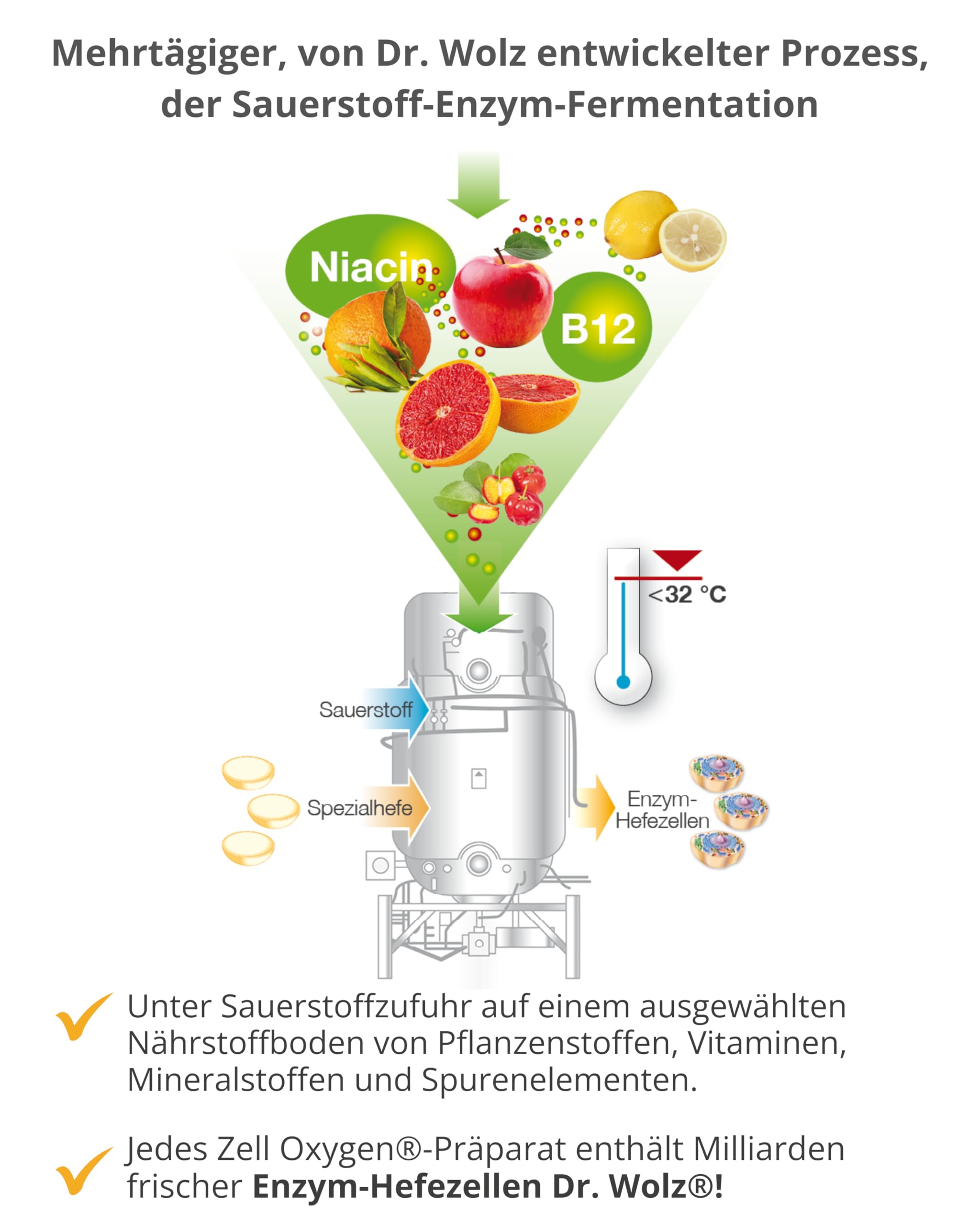 dr-wolz-zell-oxygen-l-sung-enzym-hefe-konzentrat-250-ml image 3