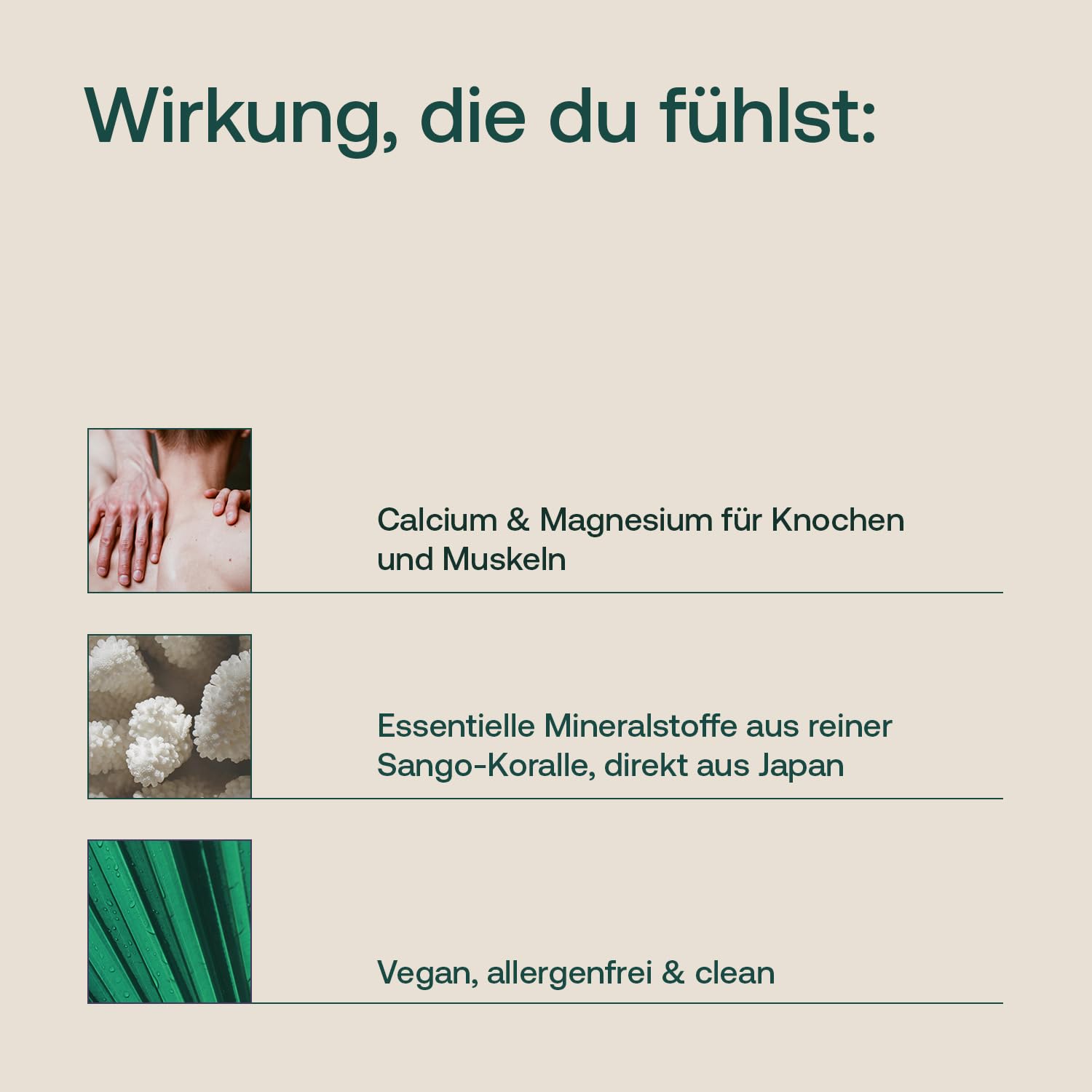 effective-nature-sango-meereskoralle-kapseln-calcium-magnesium-2-1 image 3