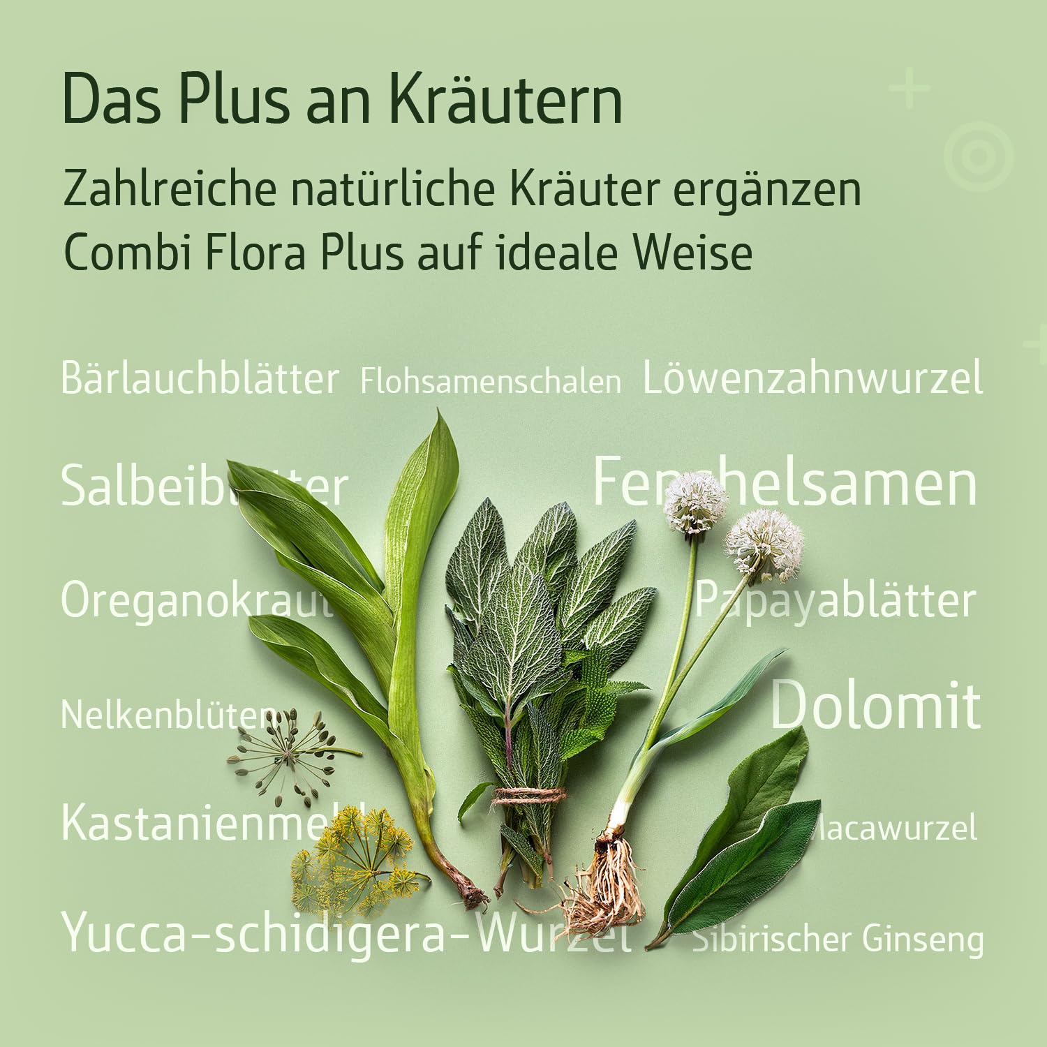 effective-nature-combi-flora-plus-kr-utermischung-mit-14-bakterienst-mmen-3-5-mr image 4