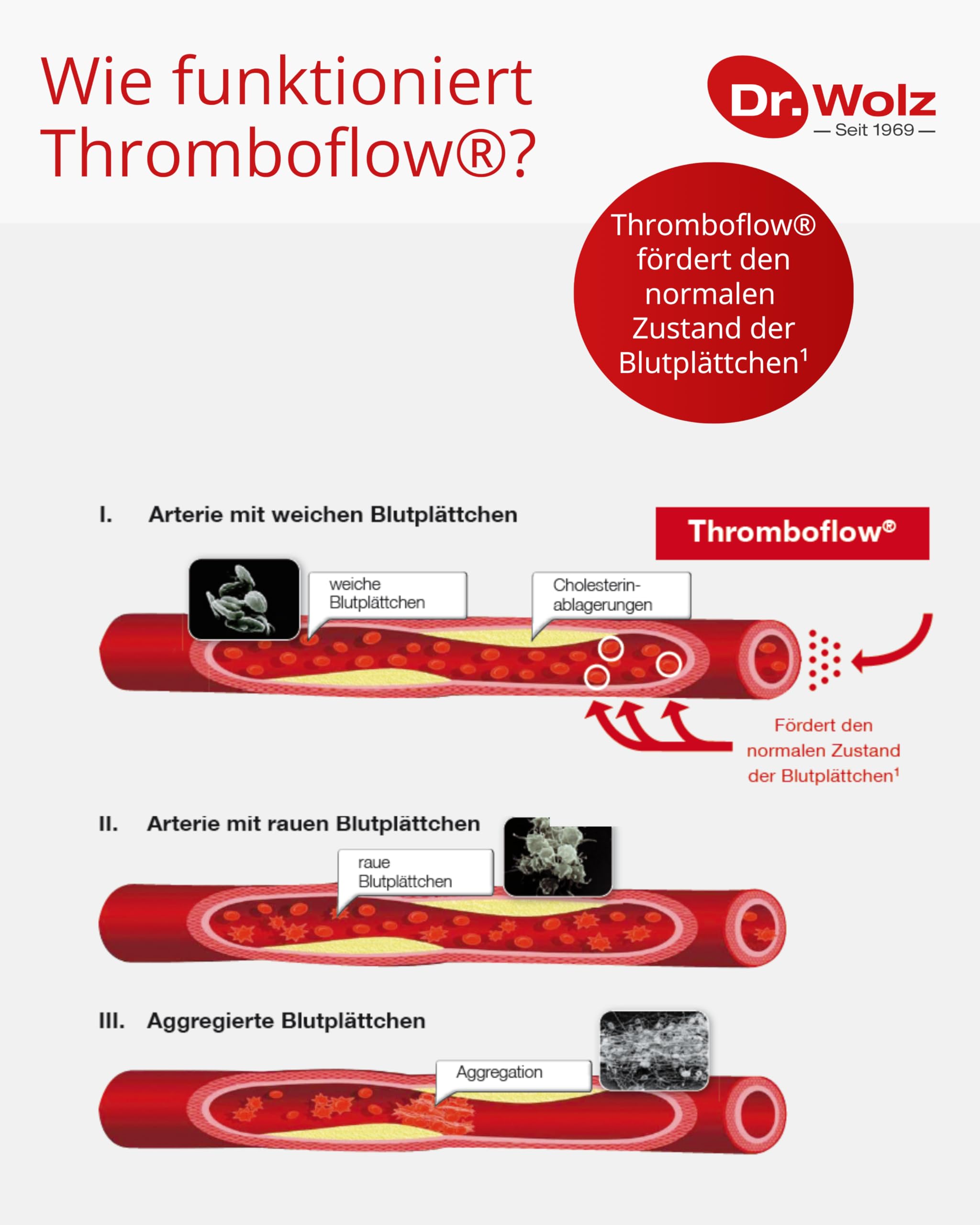 dr-wolz-thromboflow-kapseln-f-r-gesunden-blutfluss-60-st-ck image 3