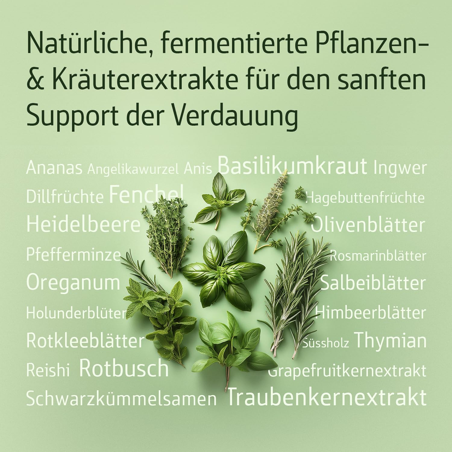 effective-nature-combi-flora-fluid-bakterienkulturen-komplex-fl-ssig image 5