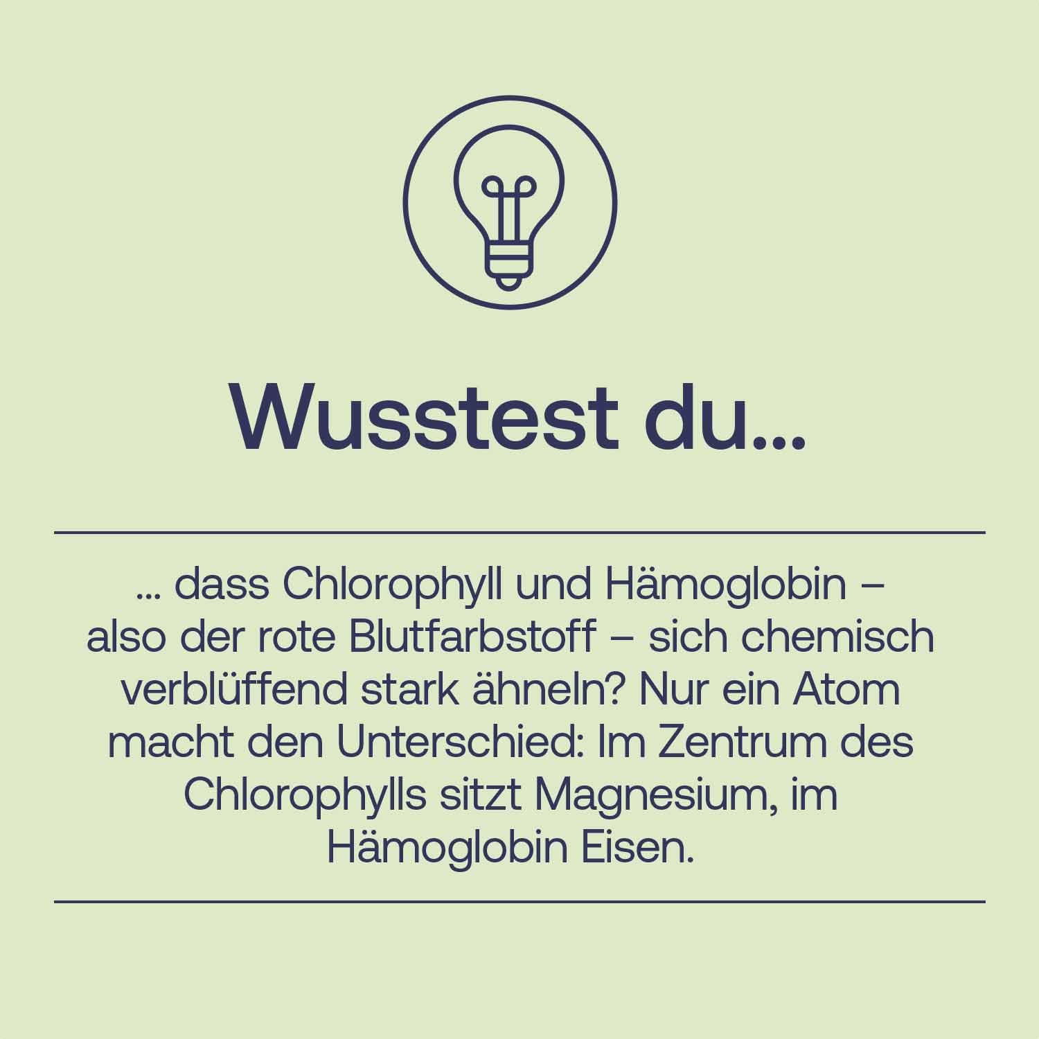 effective-nature-liquid-chlorophyll-tropfen-aus-alfalfa-vegan-50-ml-ca-1500-trop image 4