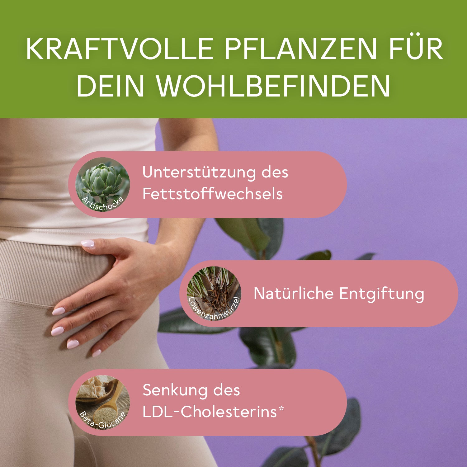 bitterliebe-cholesterin-komplex-3er-set image 5