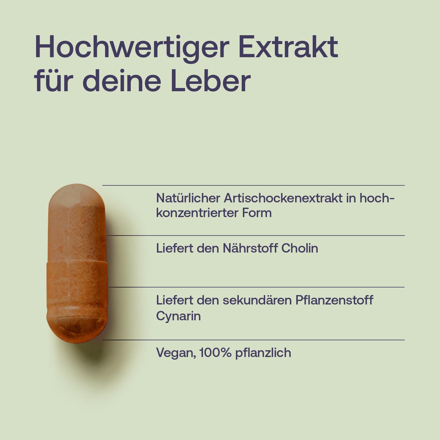 effective-nature-artischocke-kapseln-mit-cholin-vegan-90-kapseln image 4